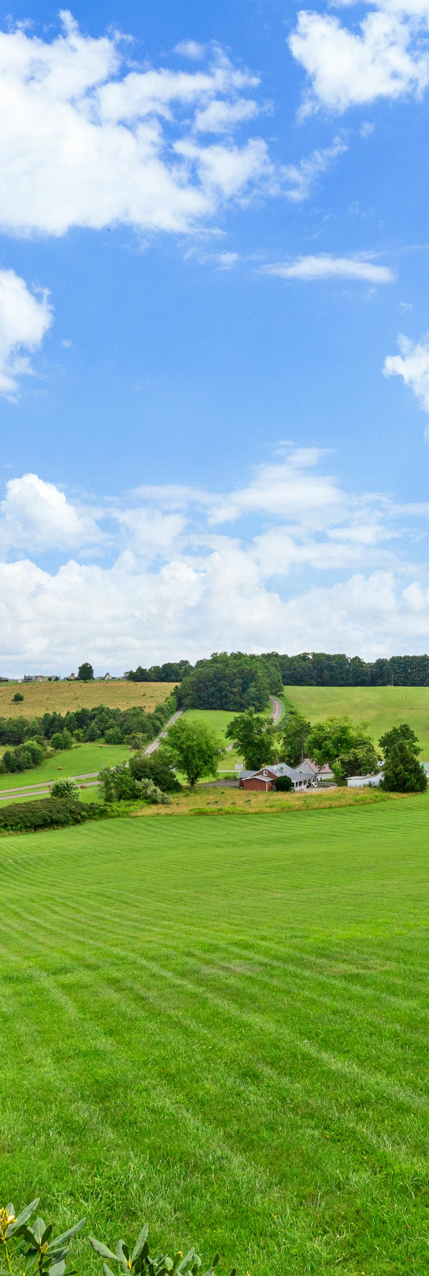 Lonesome Pine Cabins