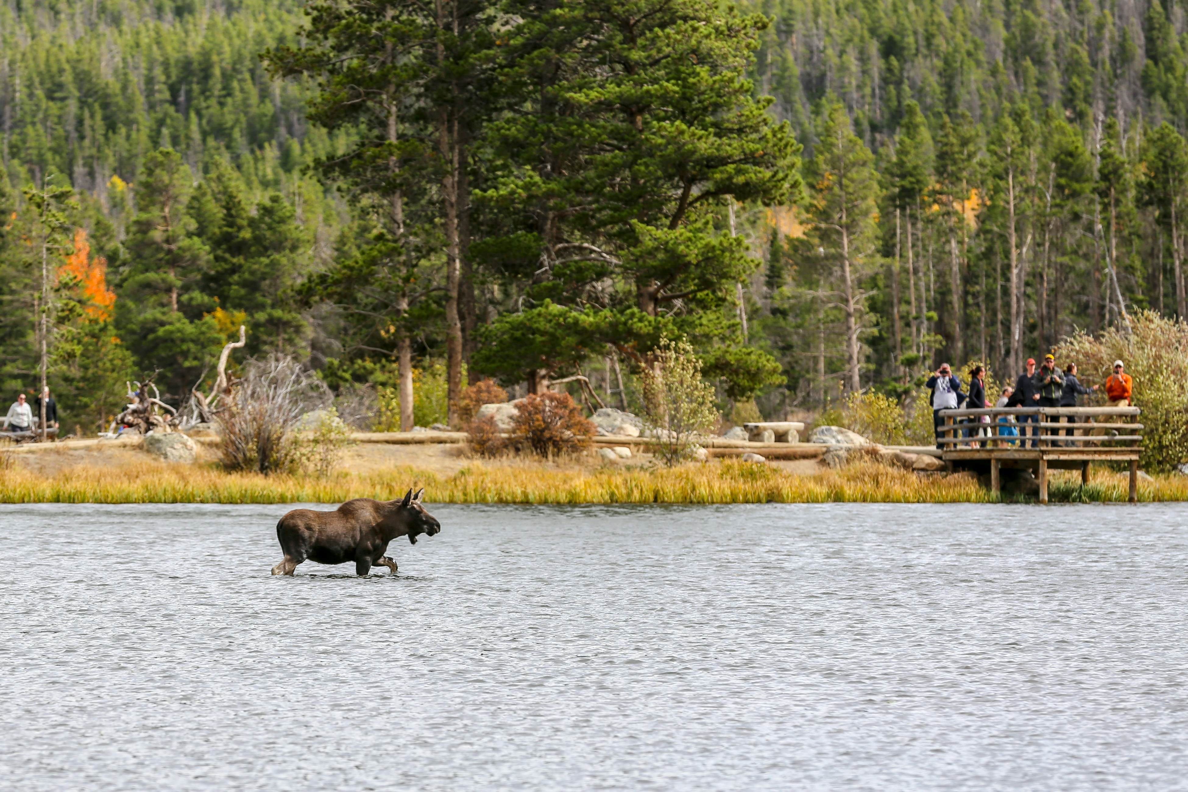 City Center Sanctuary