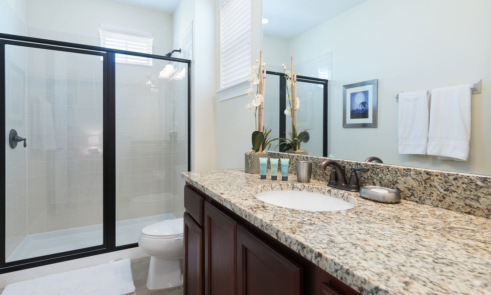 EC076 - The Traditional Domain - FRM2