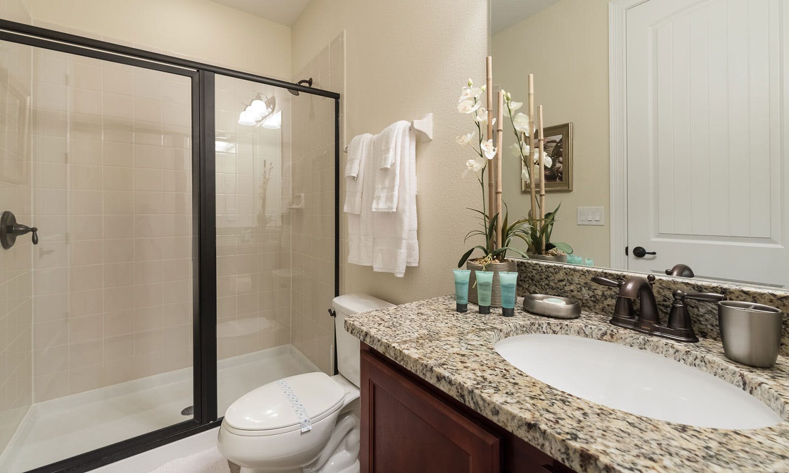 EC076 - The Traditional Domain - FRM2