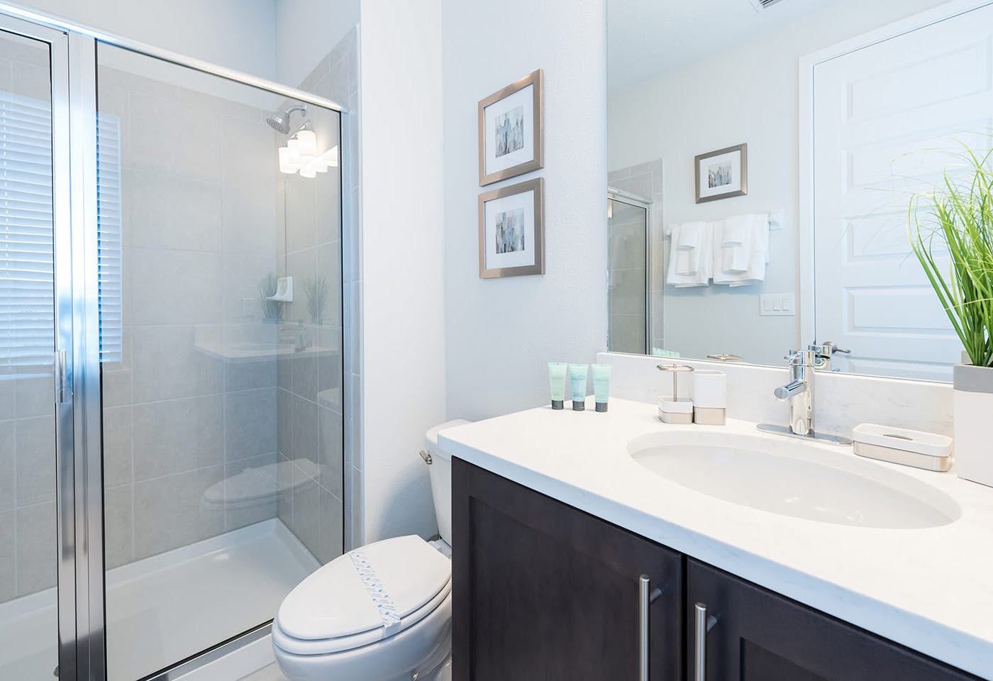 EC156 - The Stylish Sensation - KNG