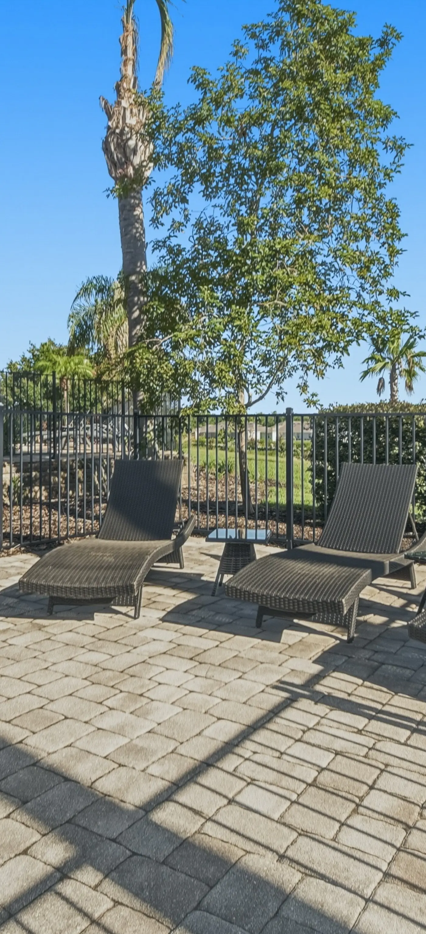 The Upscale Oasis