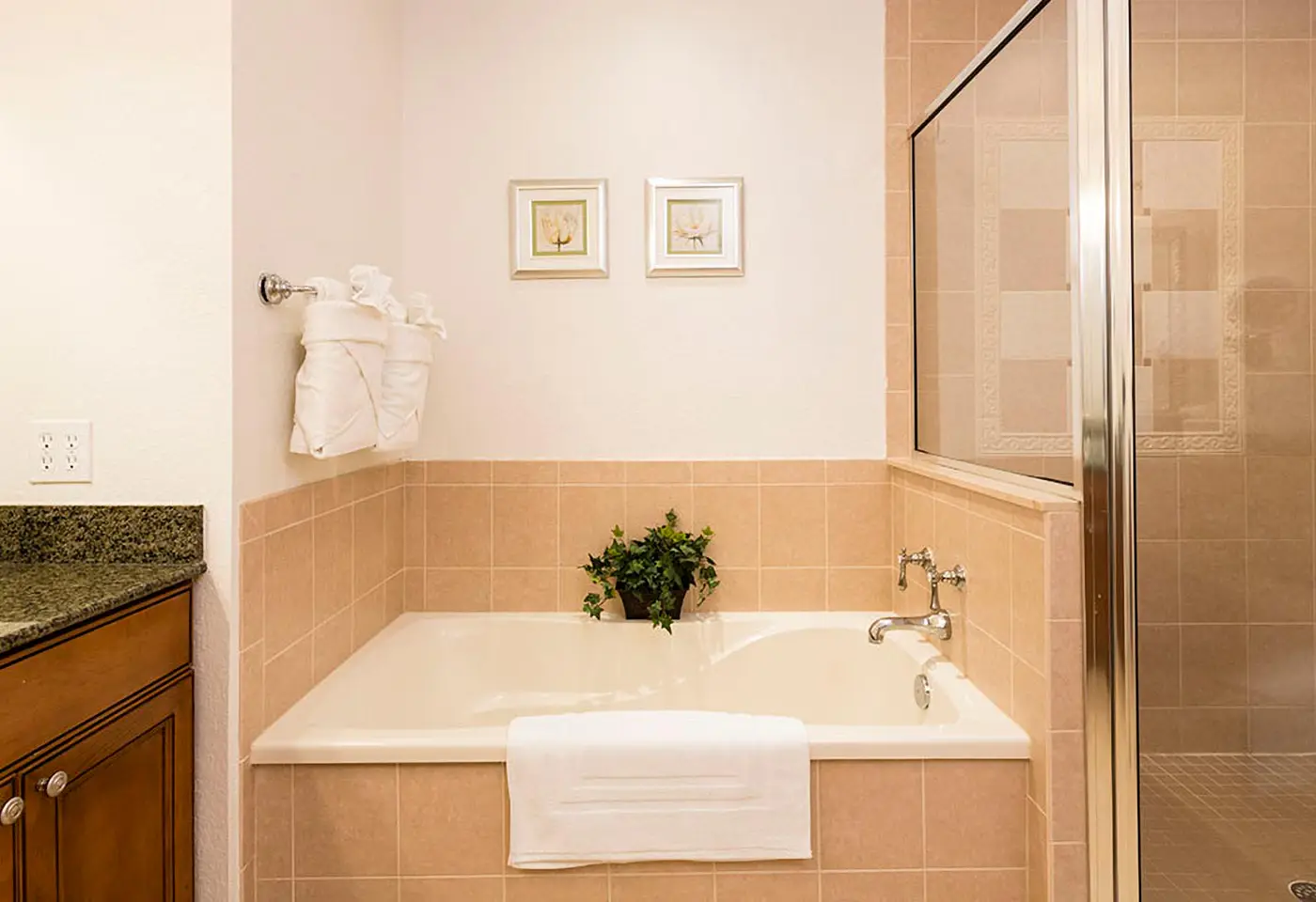 W244 - The Classical Condo