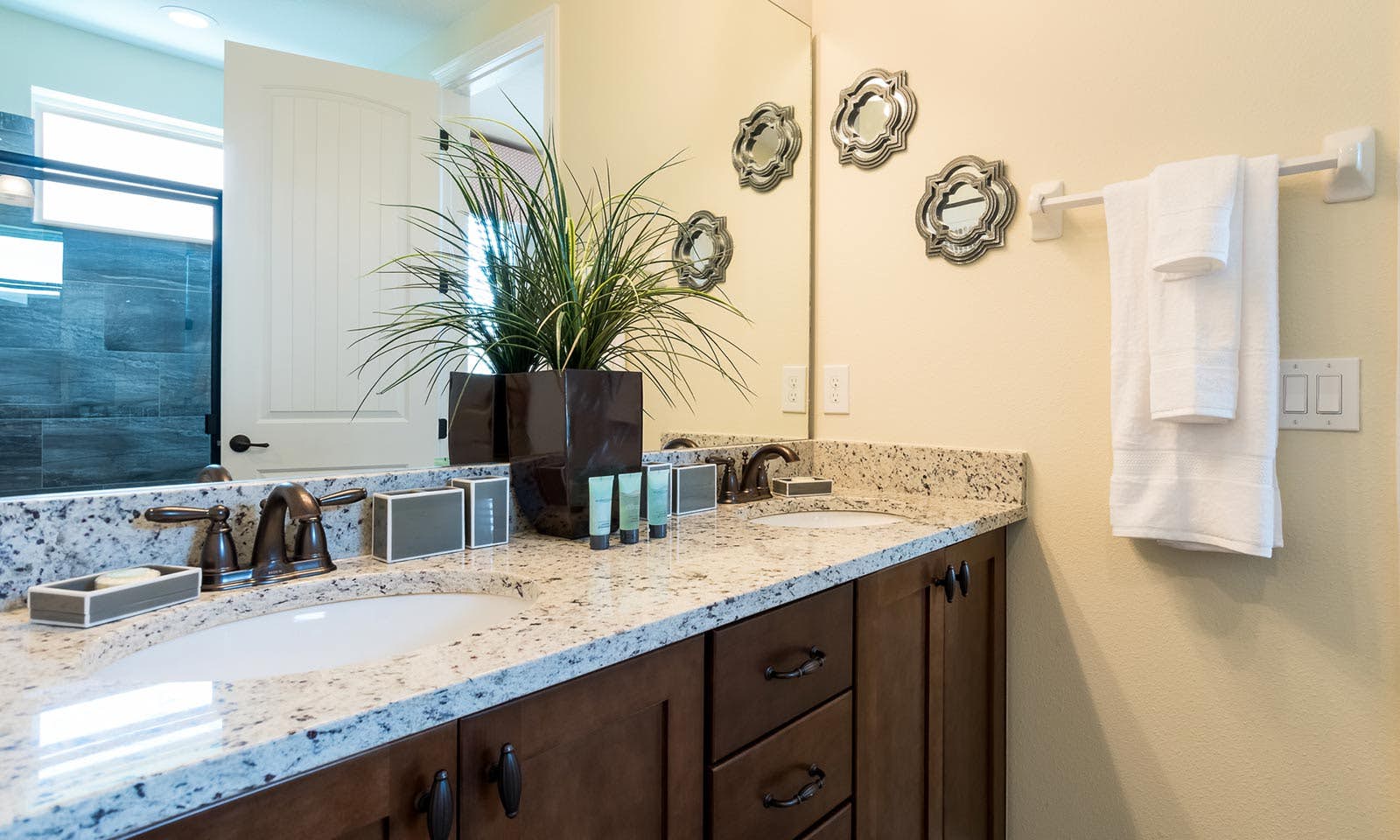 EC037 - The Vibrant Oasis - STF