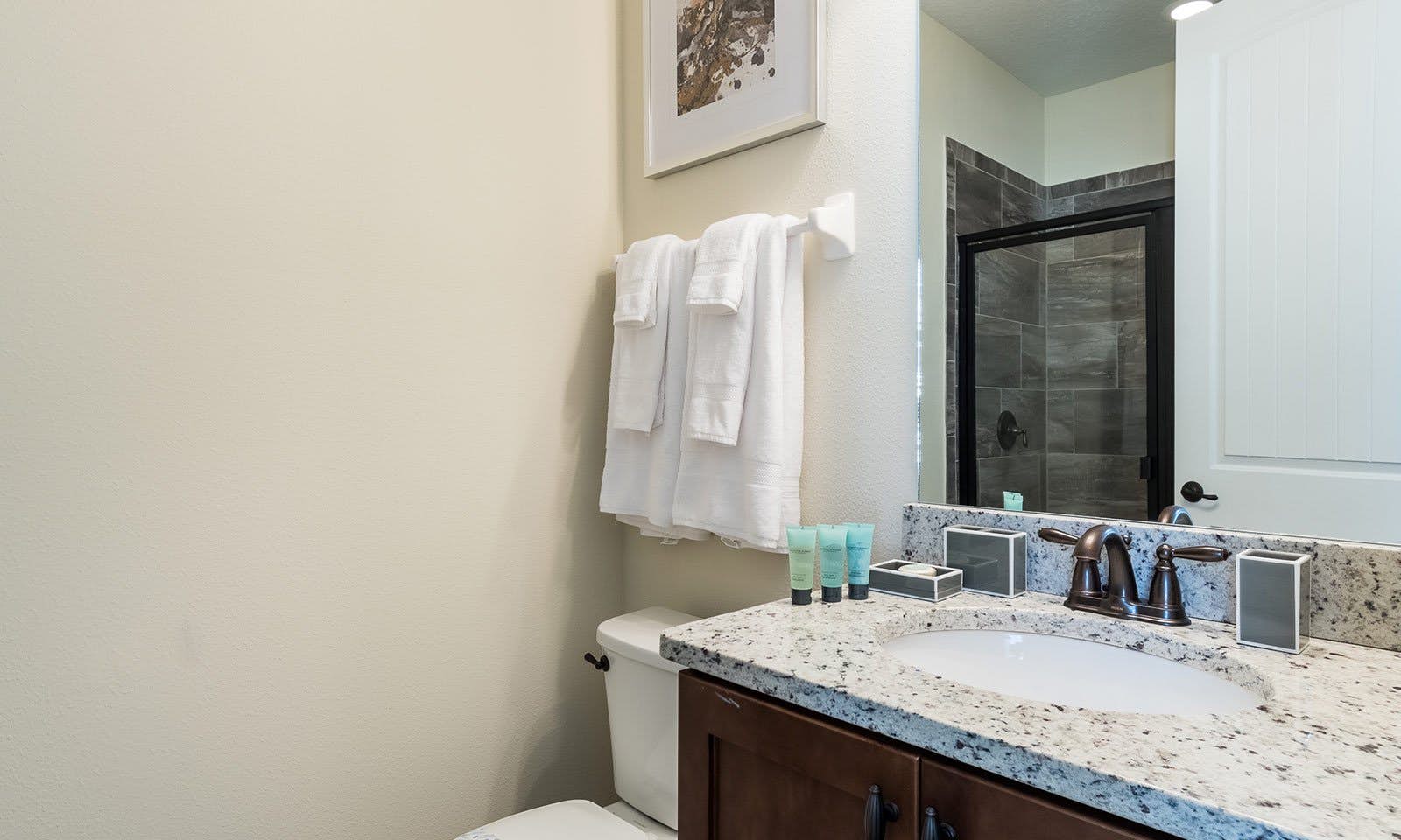 EC037 - The Vibrant Oasis - STF