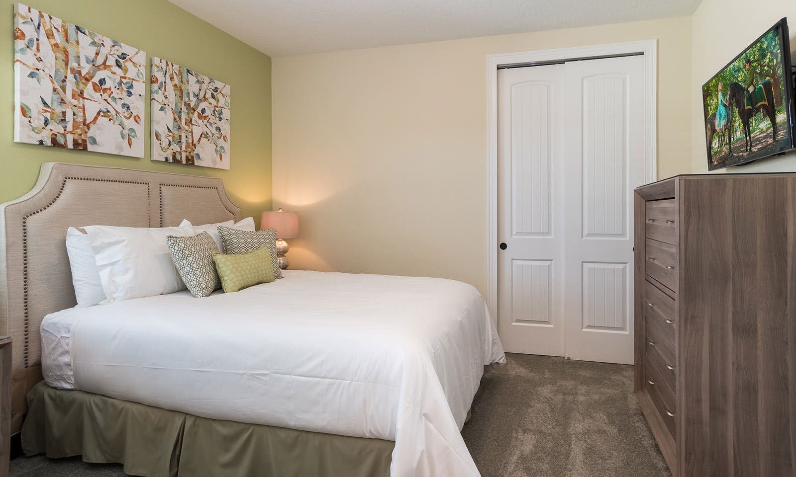 EC037 - The Vibrant Oasis - STF