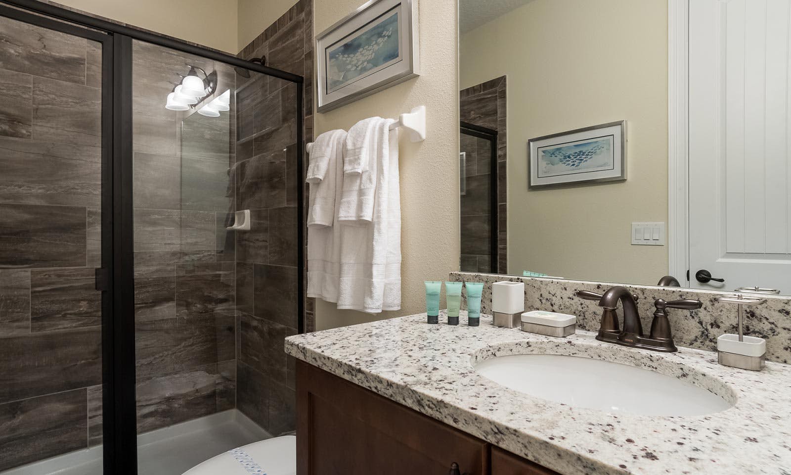 EC037 - The Vibrant Oasis - STF