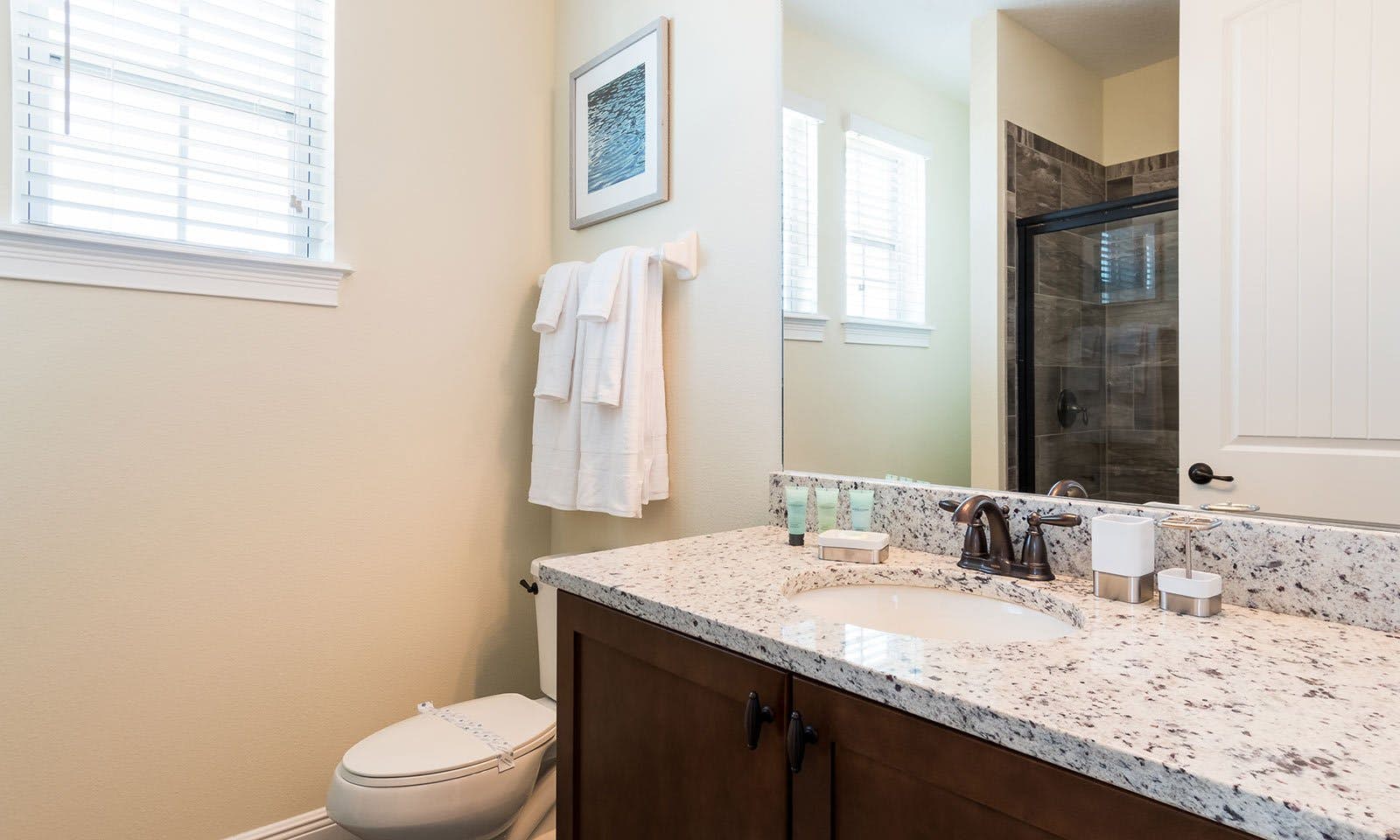 EC037 - The Vibrant Oasis - STF