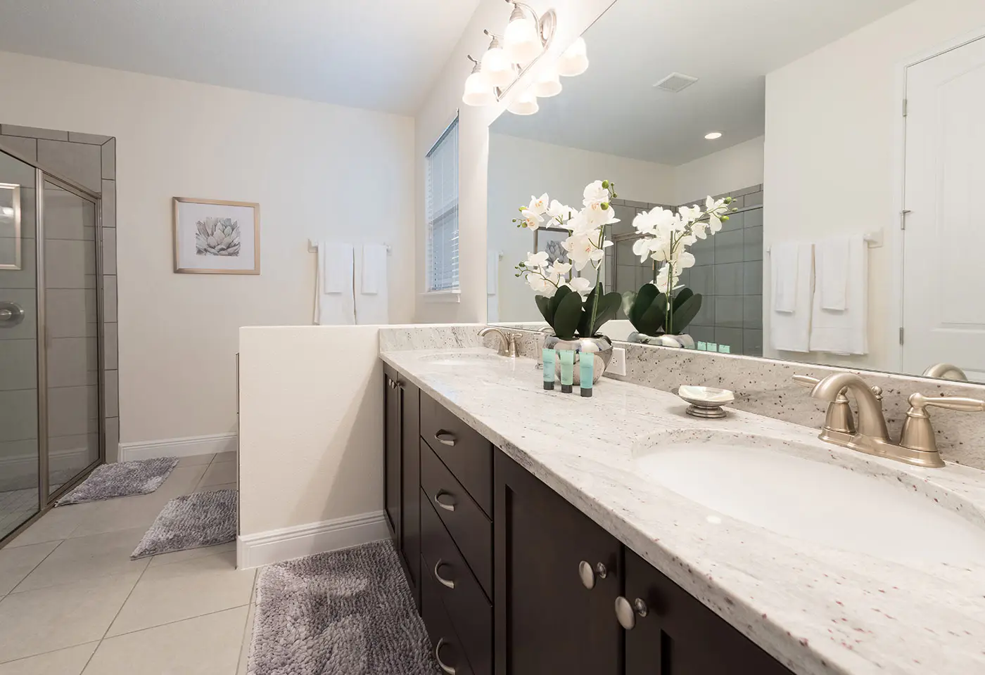 EC191 - The Sleek Sanctuary HAW