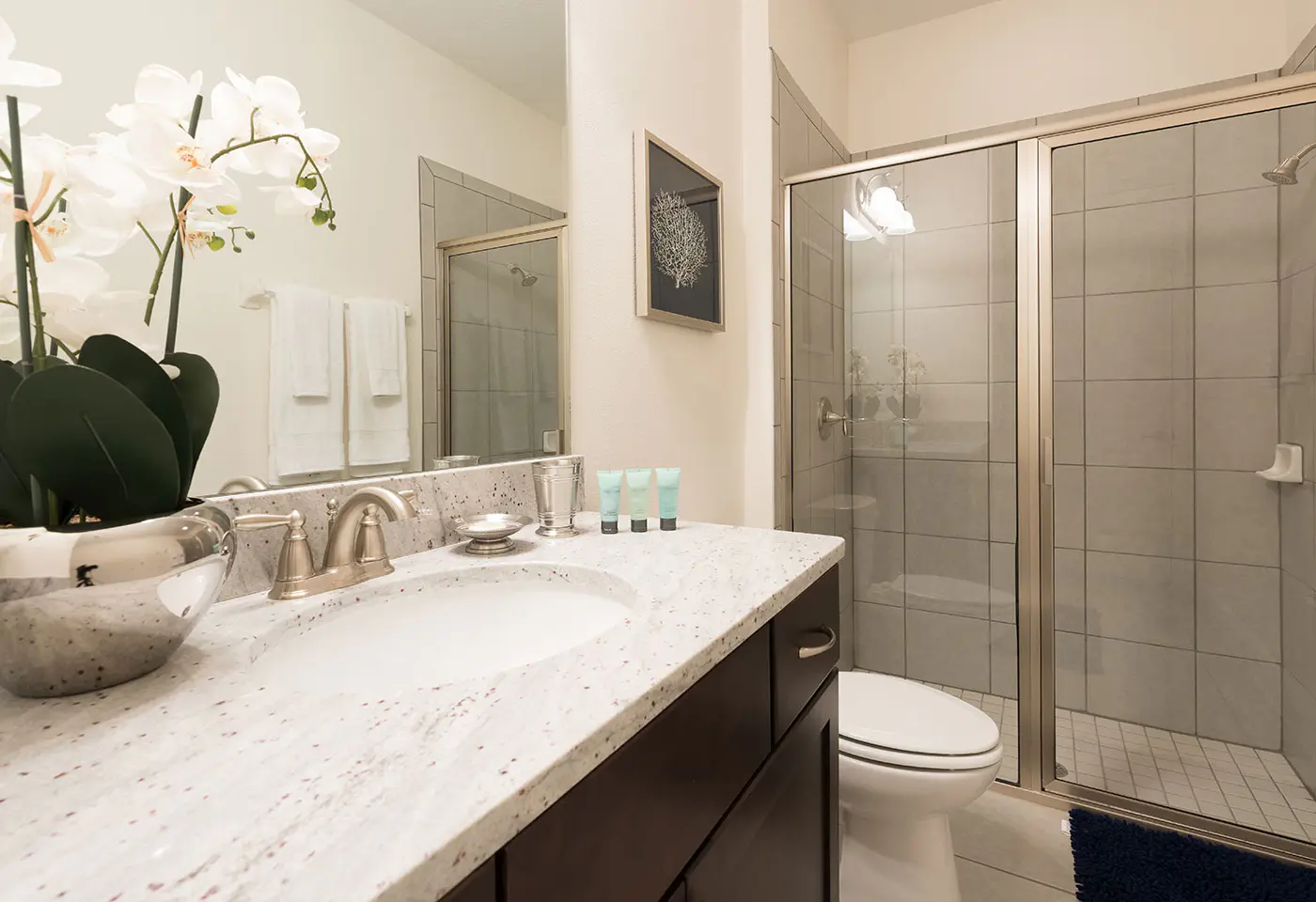 EC191 - The Sleek Sanctuary HAW