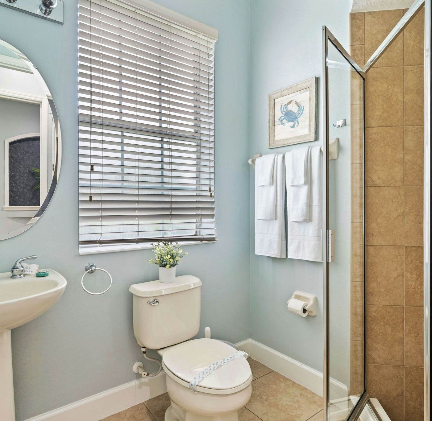 W479 - Modern Seaside Cottage