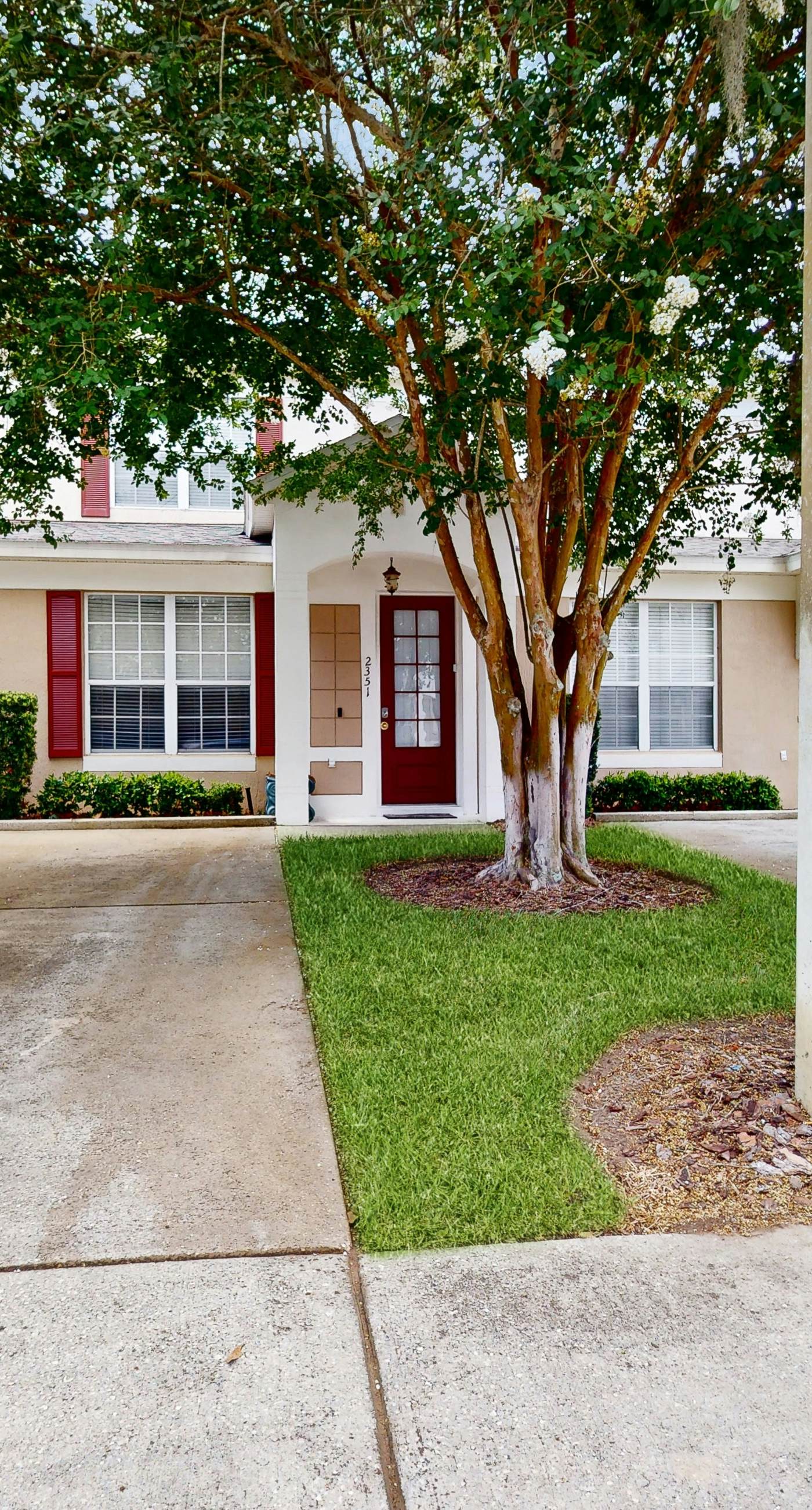 WP108-2351-3-P-Silver Palms