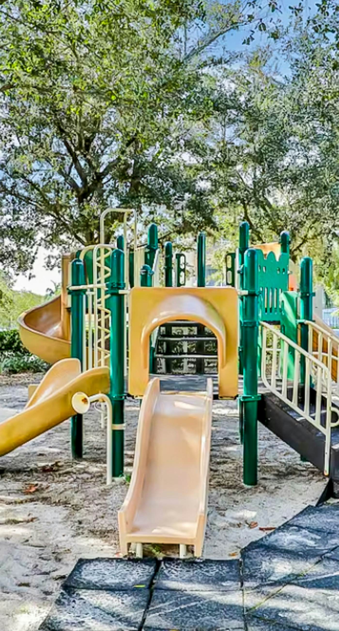 WP108-2351-3-P-Silver Palms