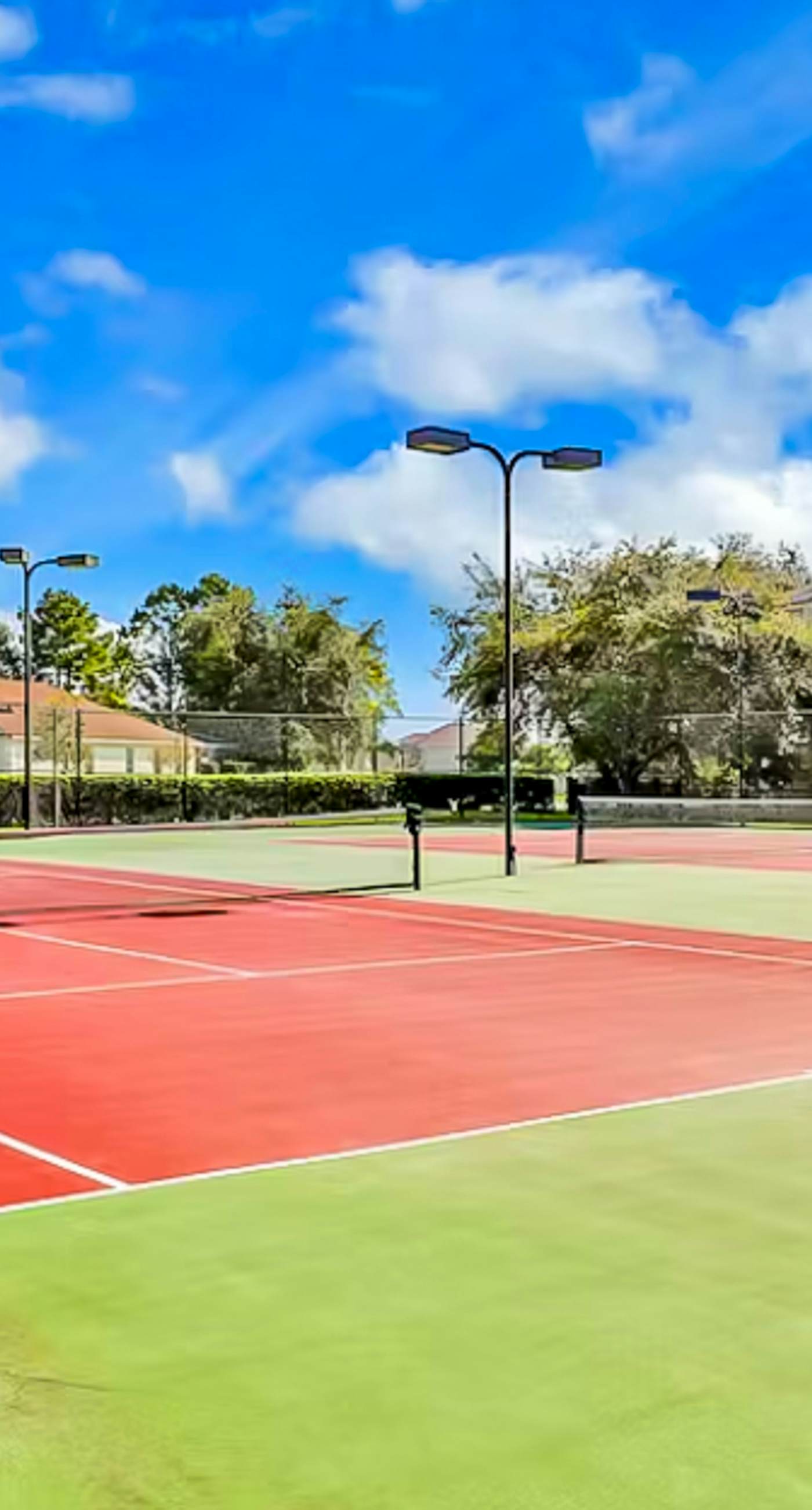 WP108-2351-3-P-Silver Palms