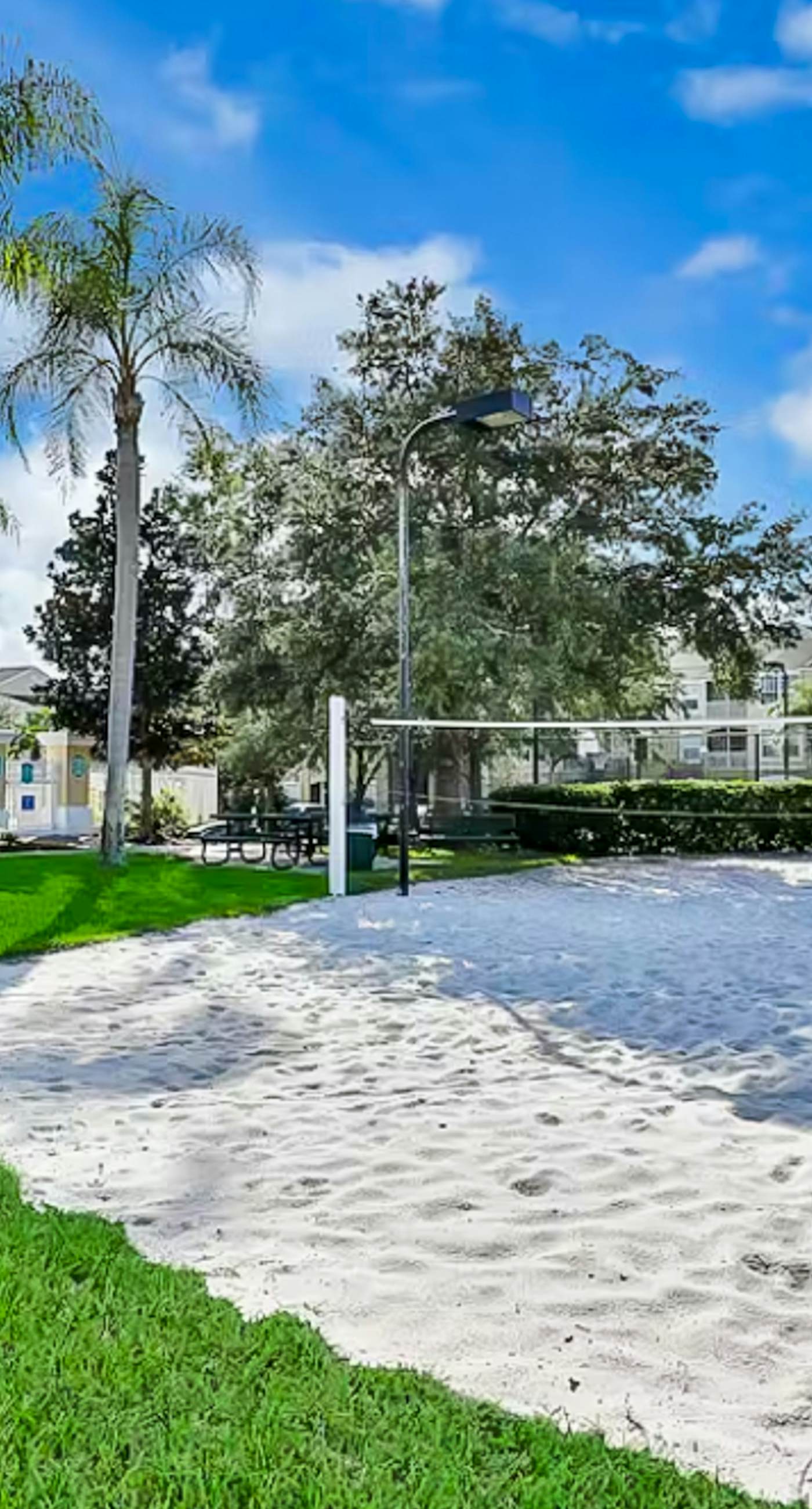 WP108-2351-3-P-Silver Palms