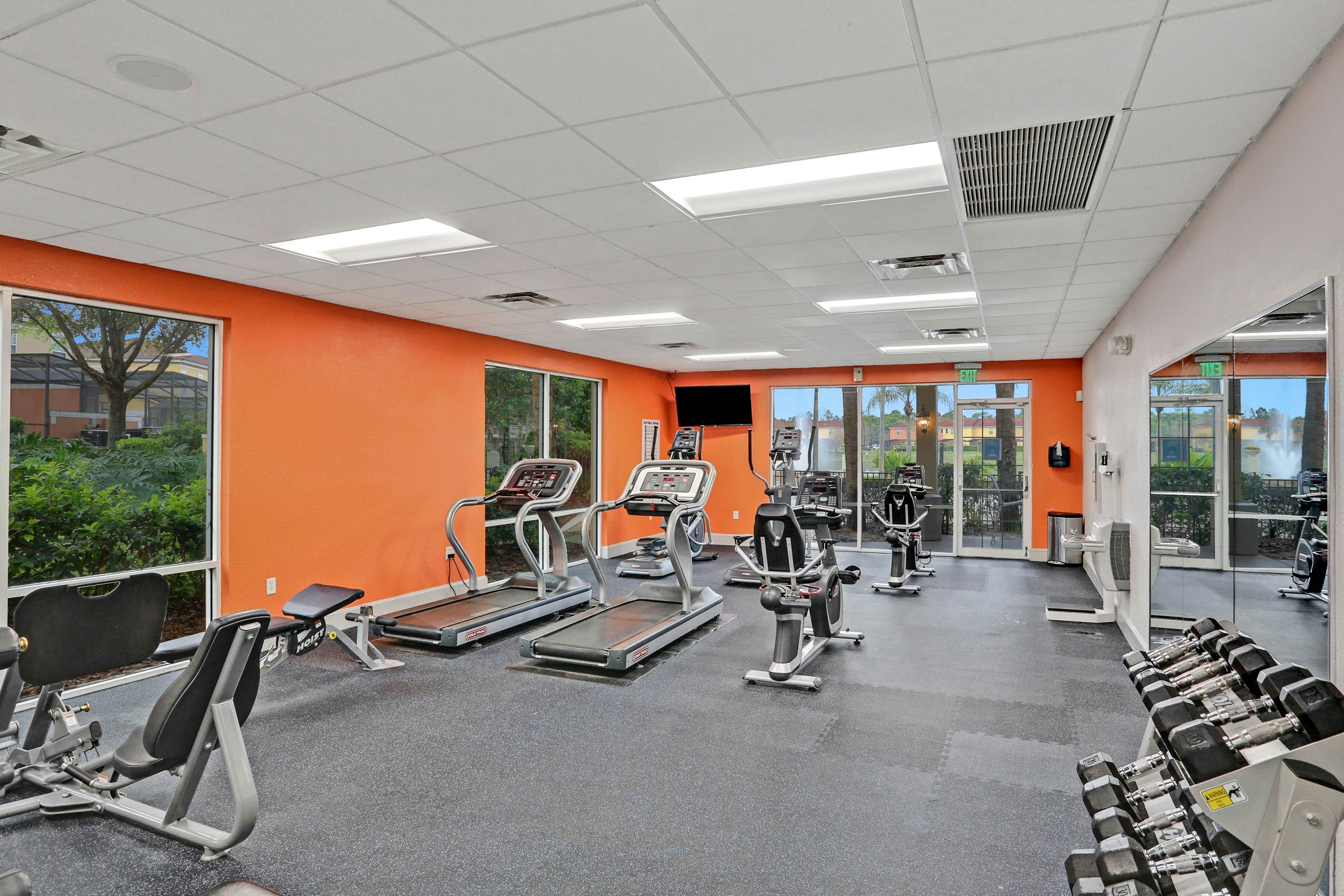 RGP109-116-4 - Sunshine Delight