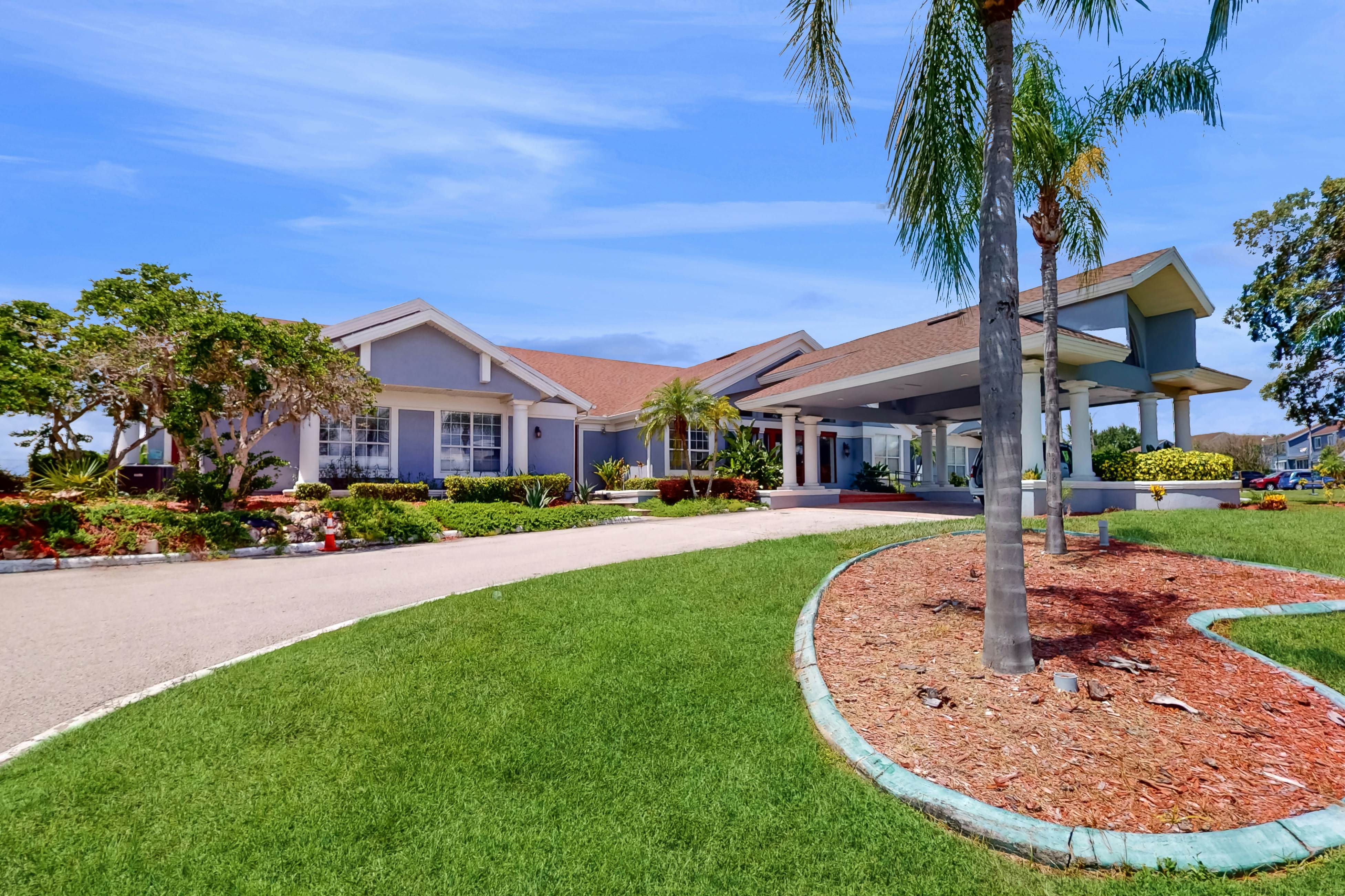 ICW101-619-3 - Caribbean Dreams