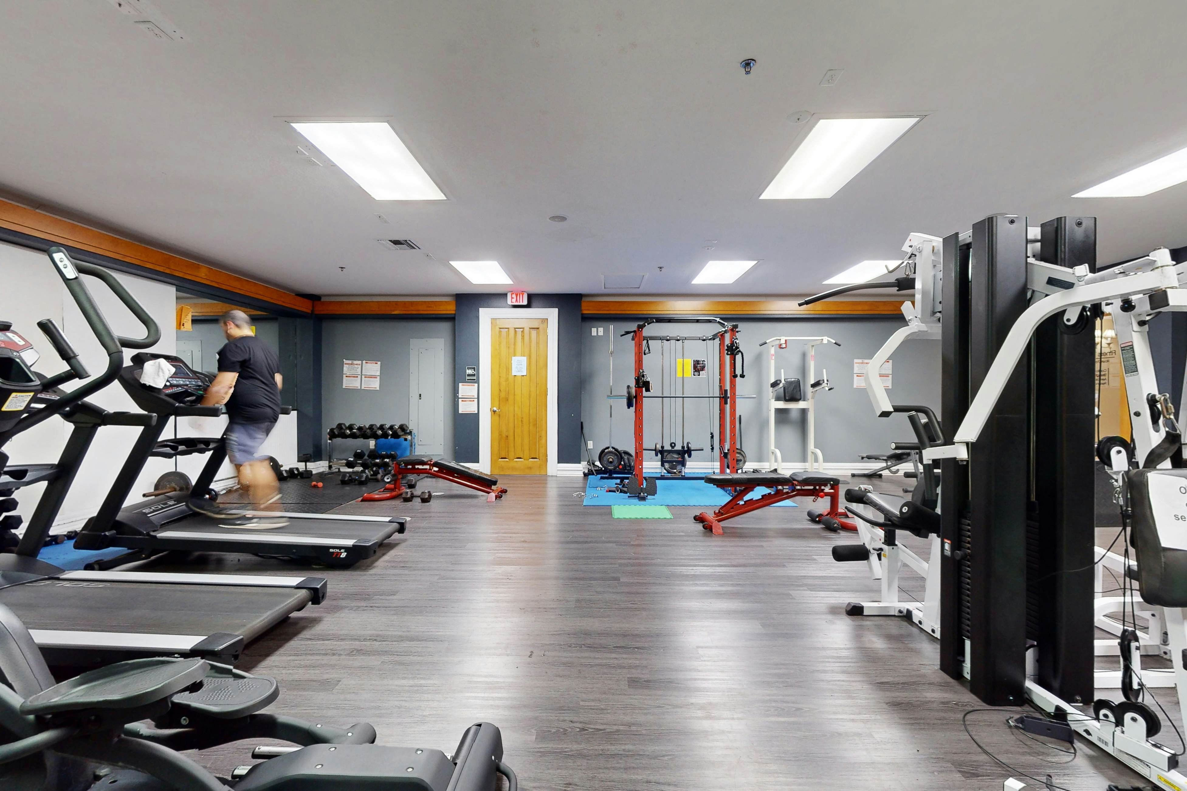 ICW101-619-3 - Caribbean Dreams