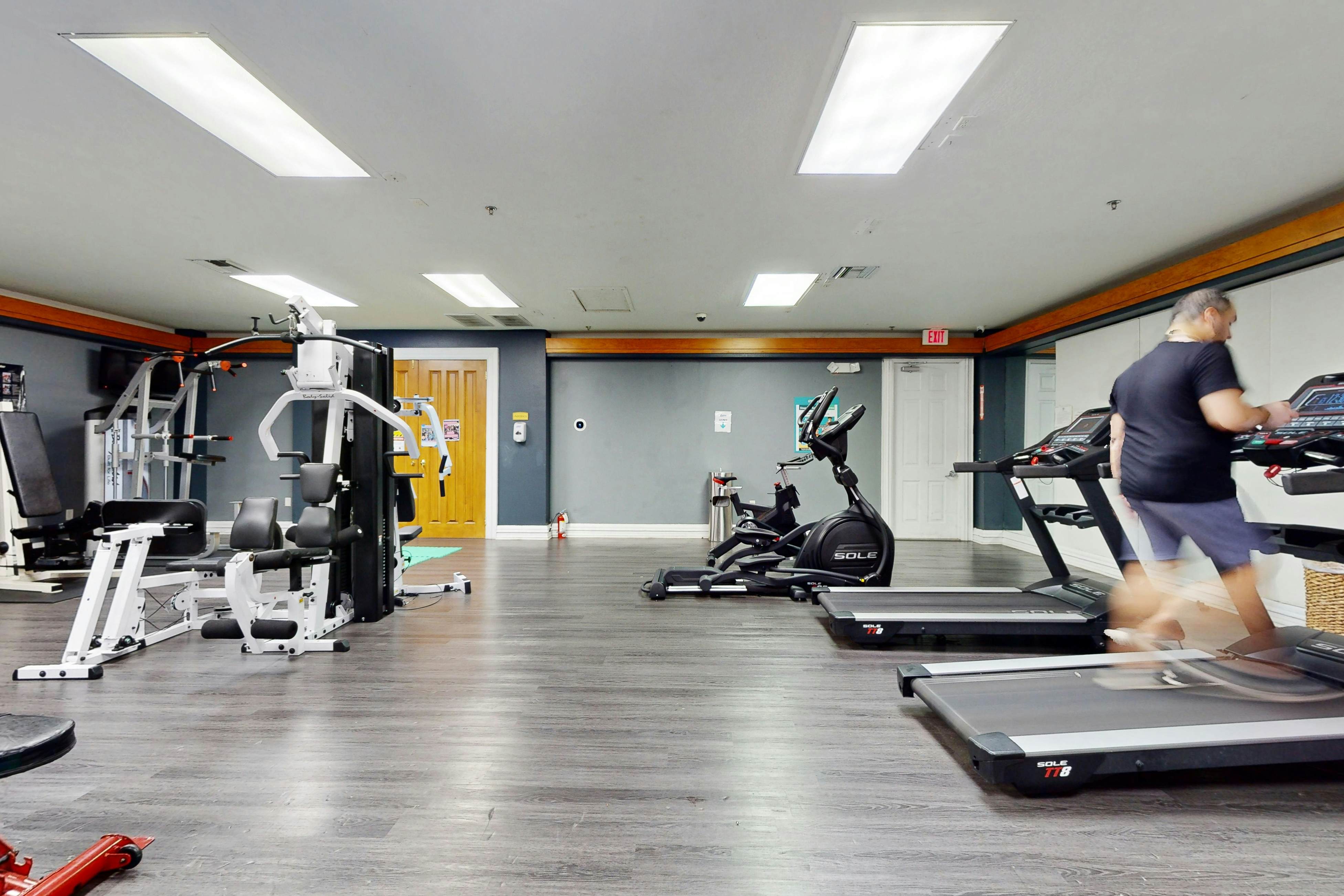 ICW101-619-3 - Caribbean Dreams