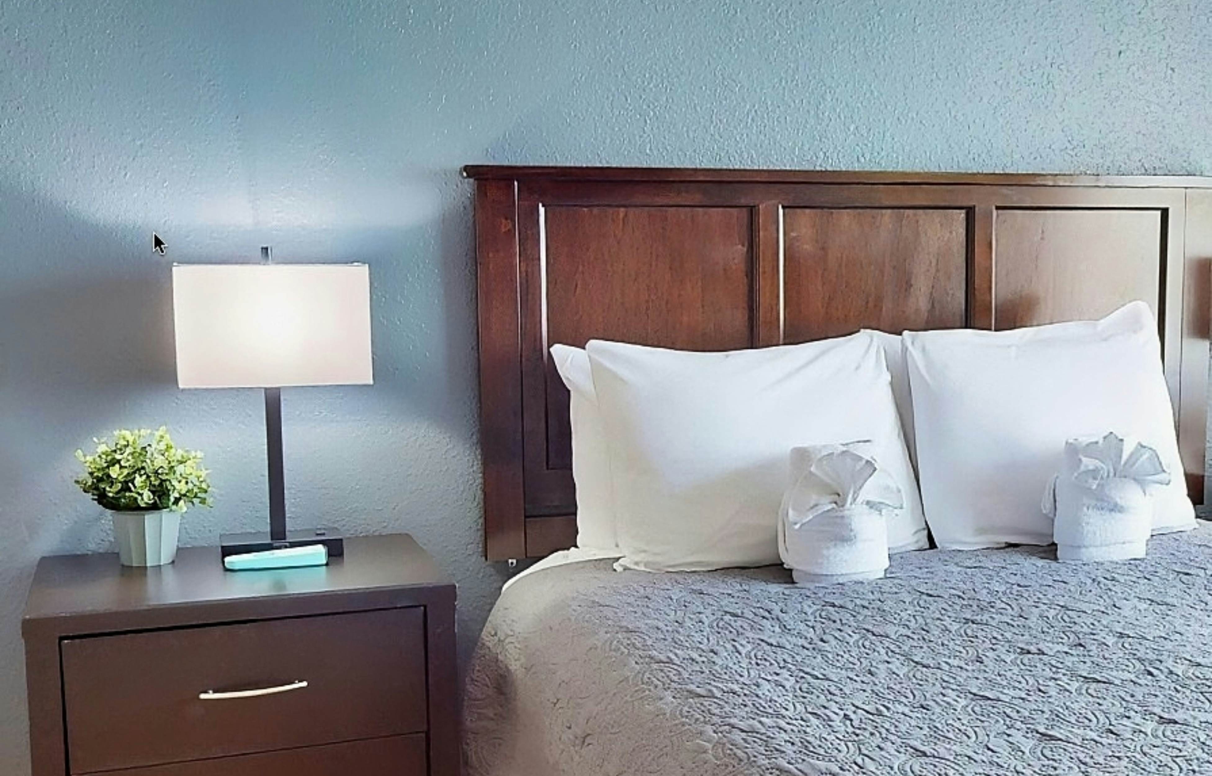 ENO105-6165-2904-2 - The Enclave # 2904