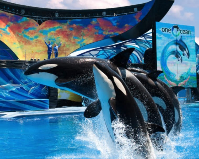 ENO105-6165-2904-2 - The Enclave # 2904