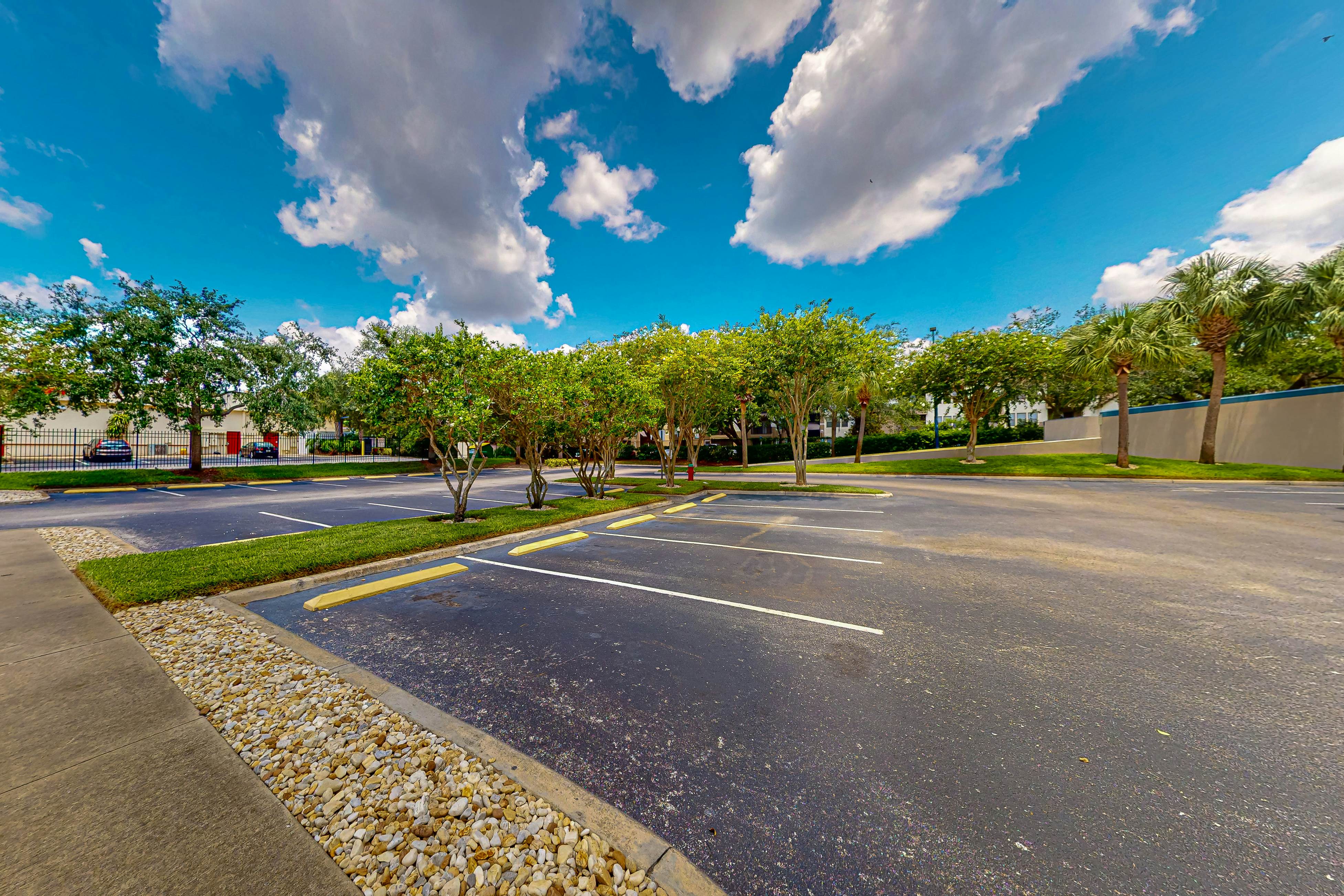 BLU103-13415-1-0308-1 - Blue Heron #308