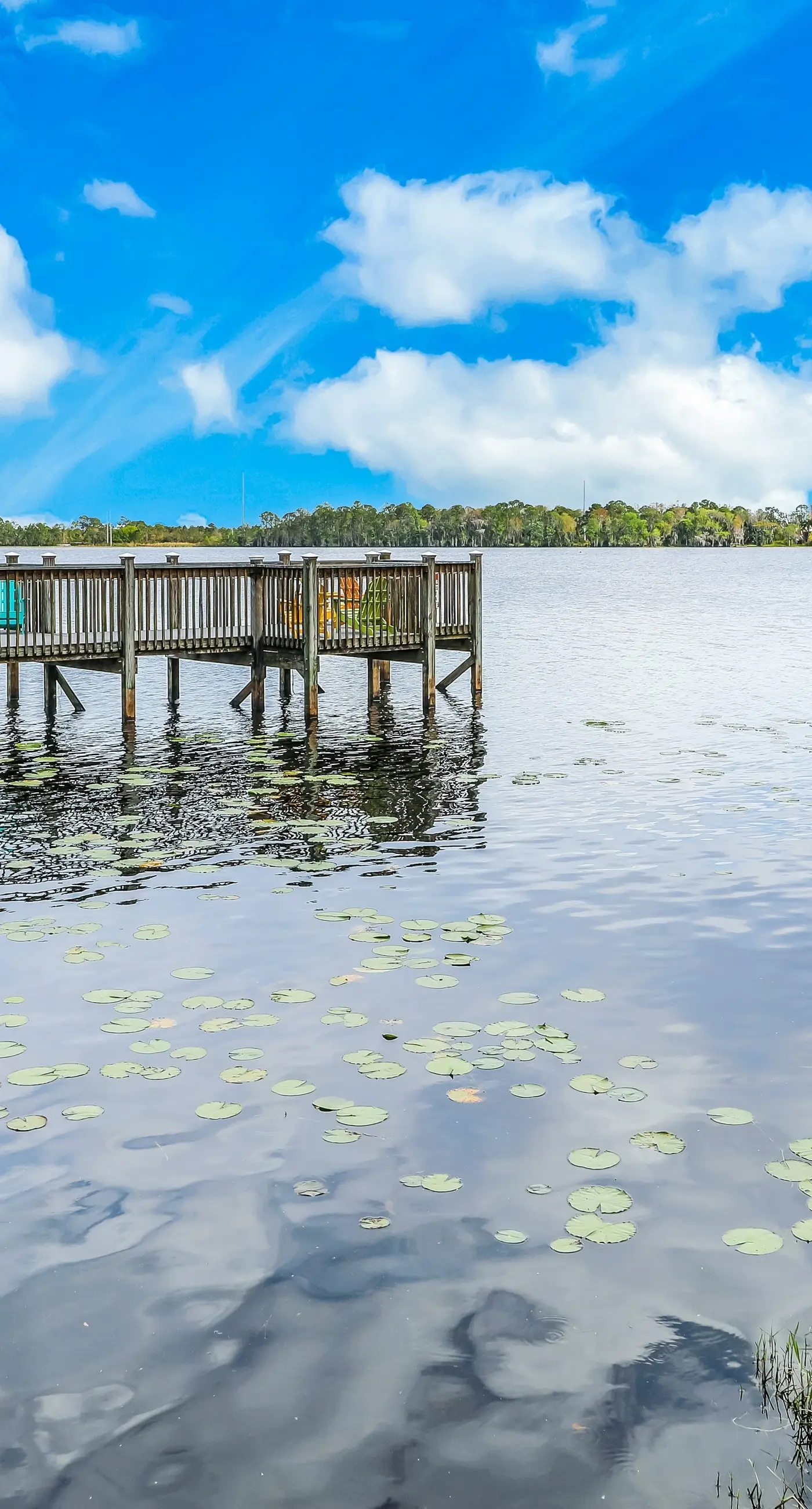 Blue Heron Beach Resort 2-1505