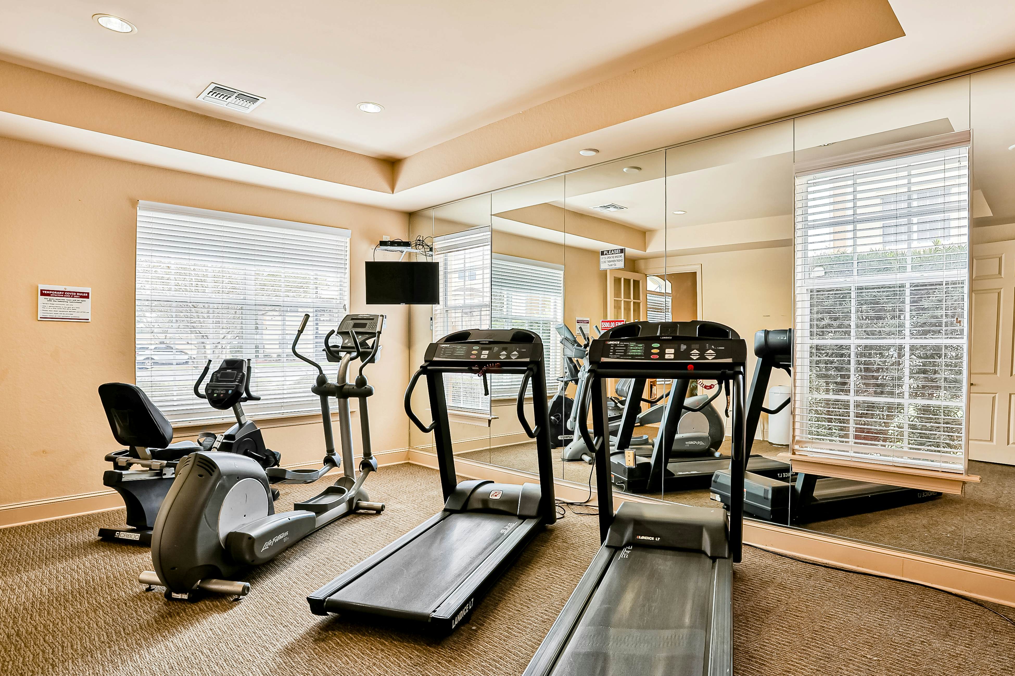 TRR107-818-3 - Sunshine & Fun Times