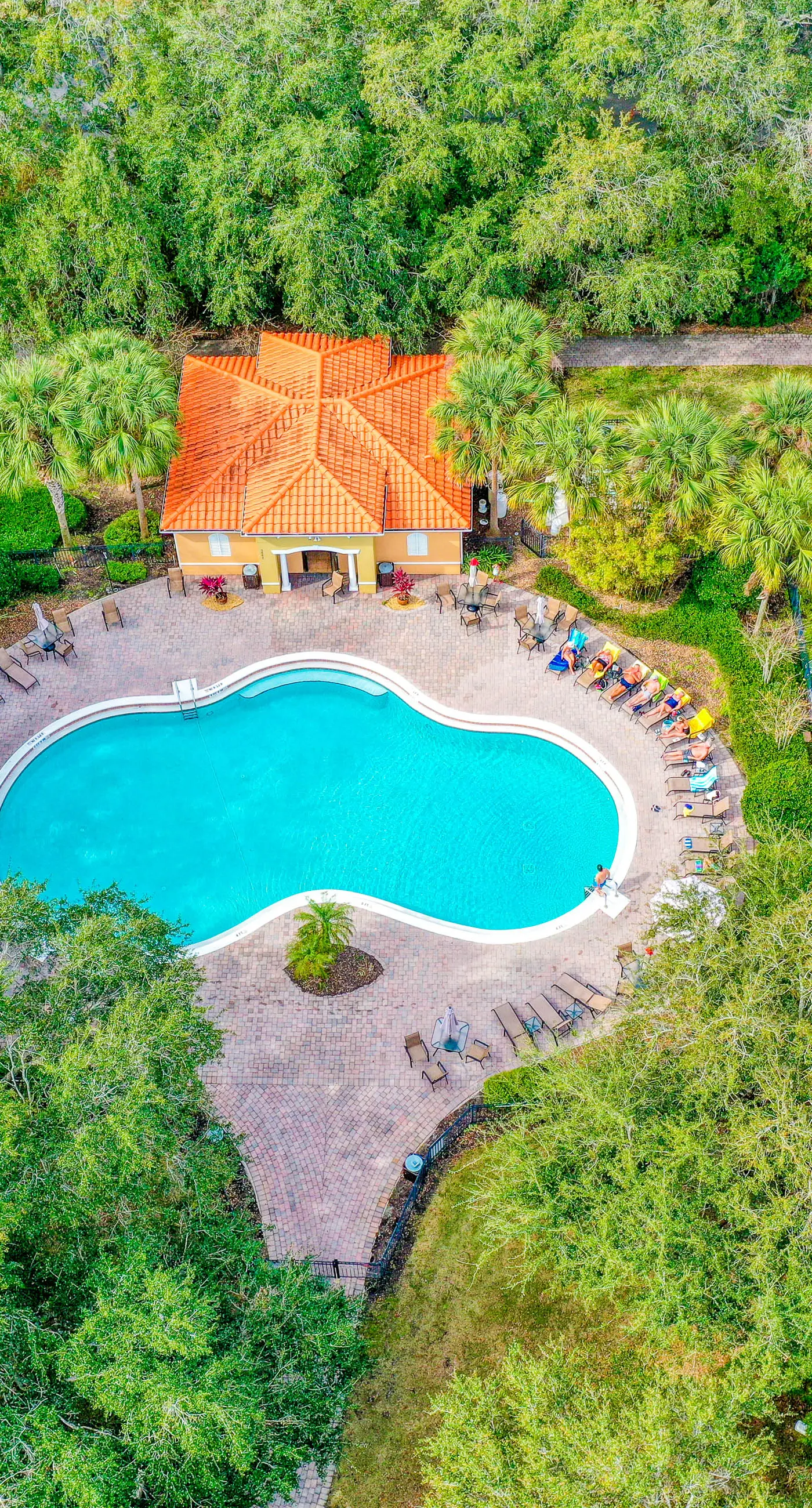 CB103-5156-3 - Comfy Escape - Compass Bay Resort