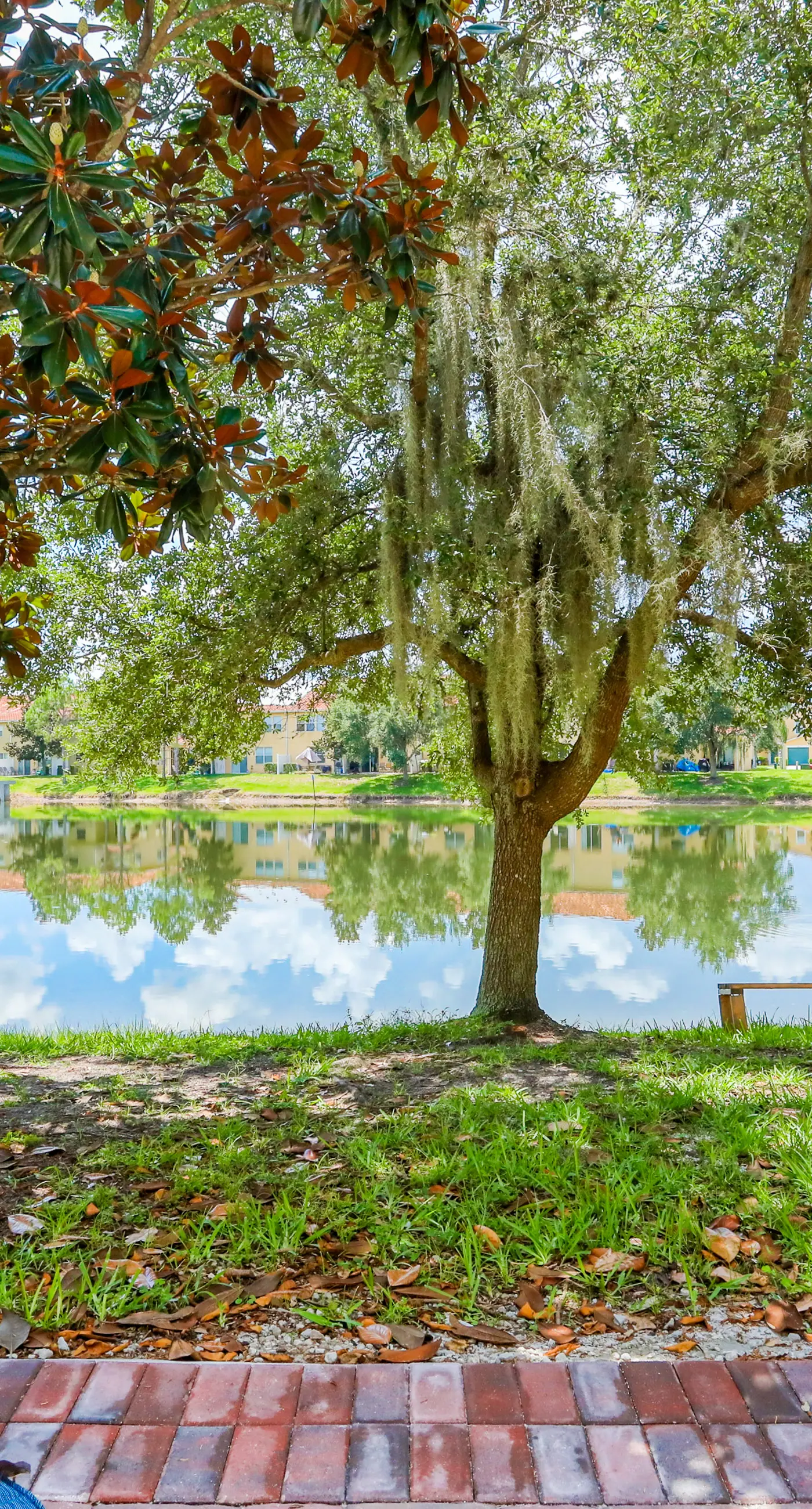 CB103-5156-3 - Comfy Escape - Compass Bay Resort