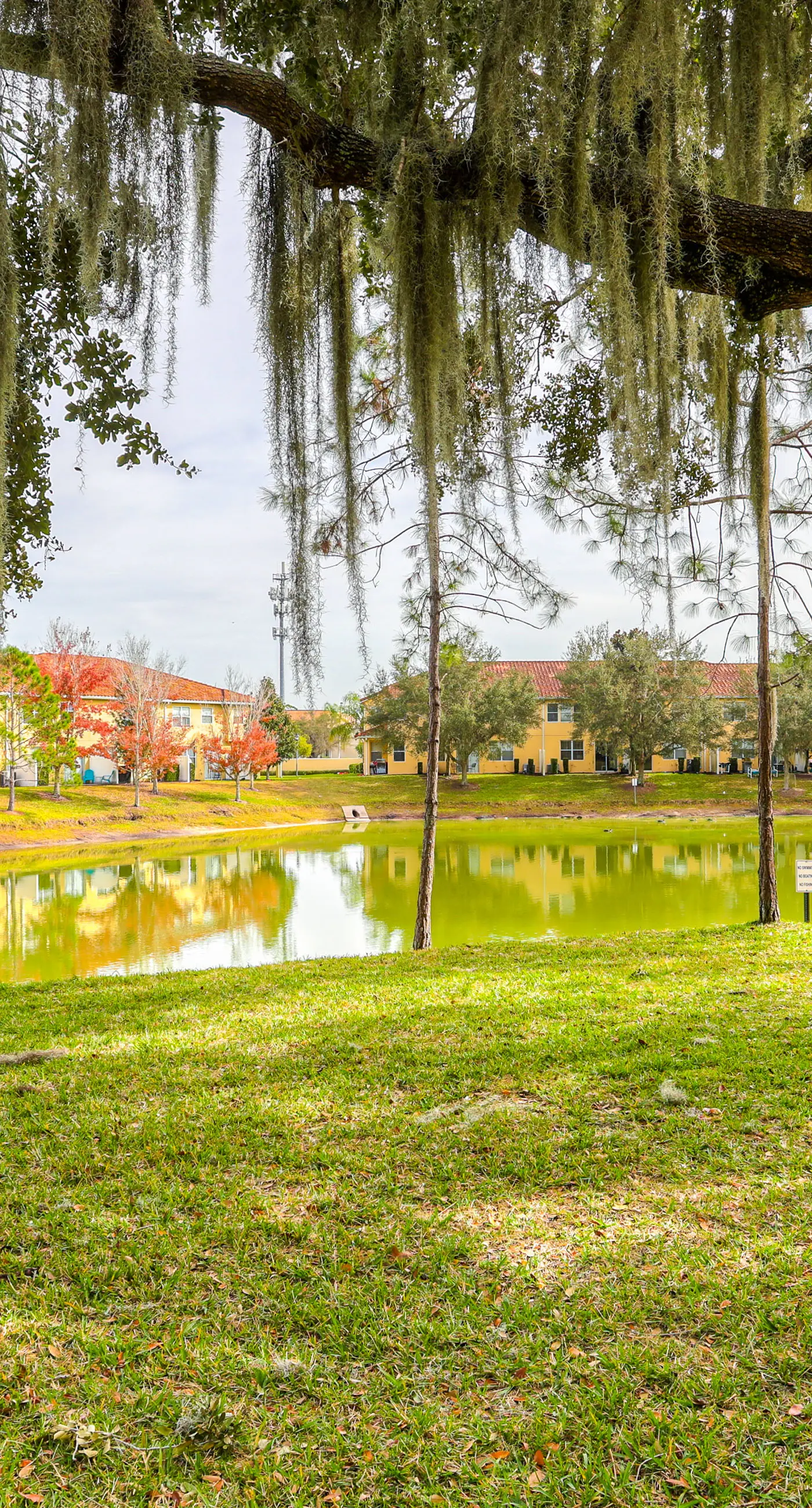 CB103-5156-3 - Comfy Escape - Compass Bay Resort