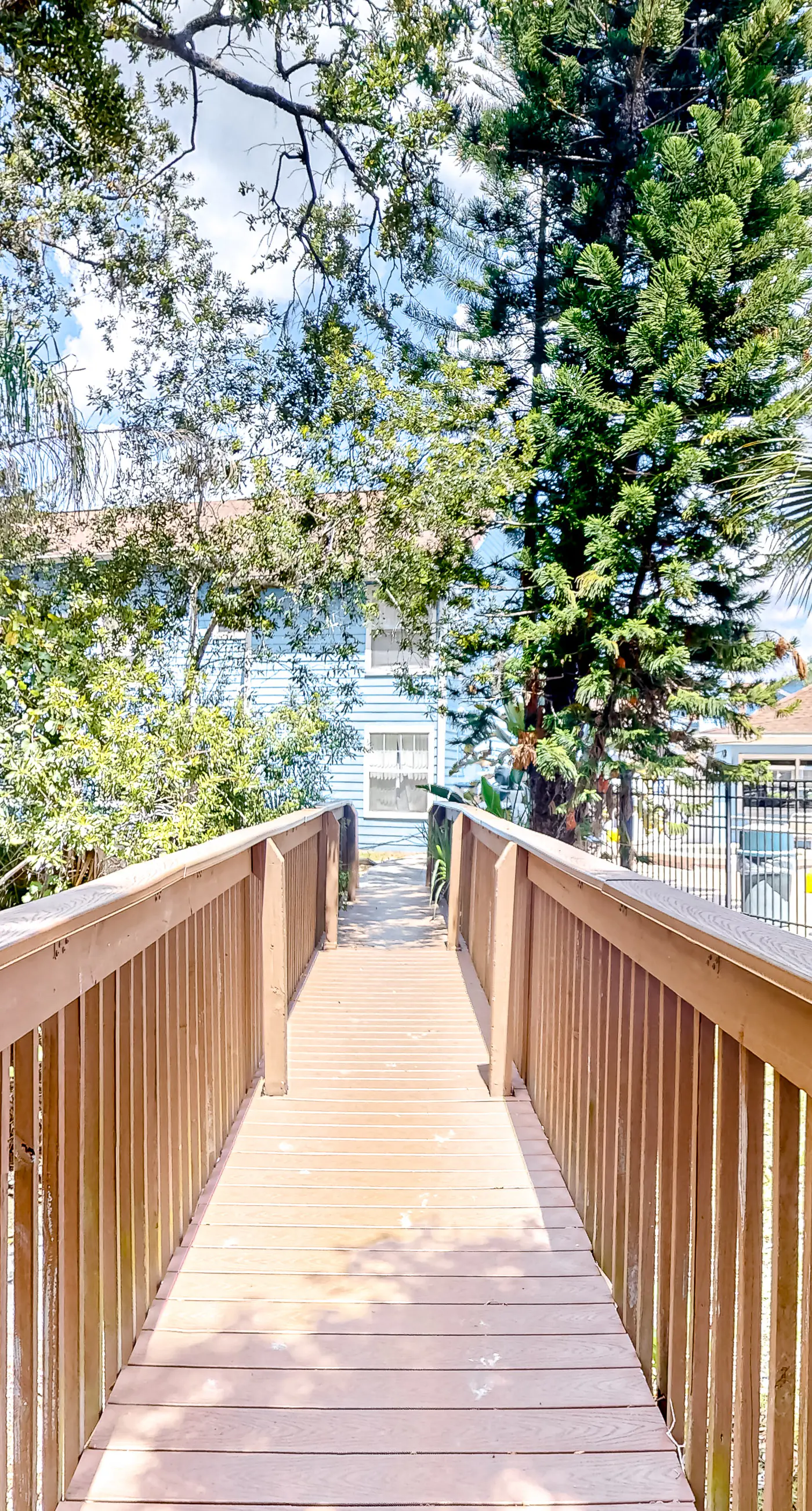 VS101-2723-156-3 - Blue Crush