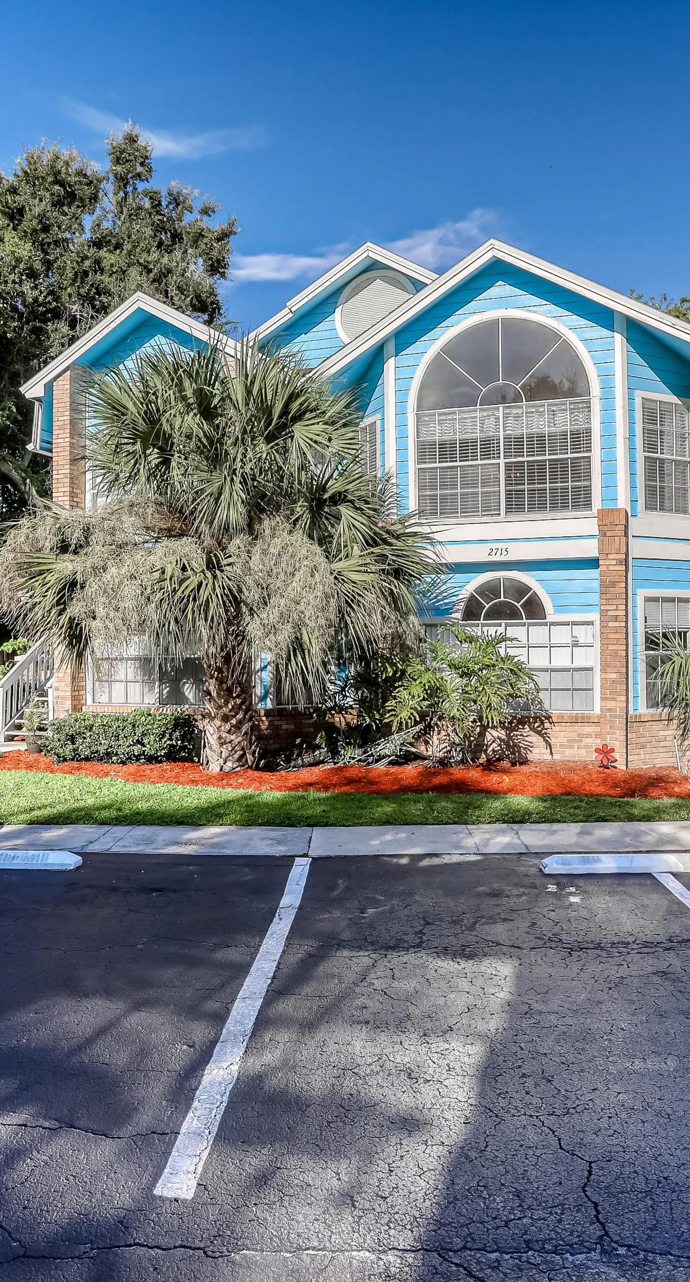 VS101-2723-156-3 - Blue Crush