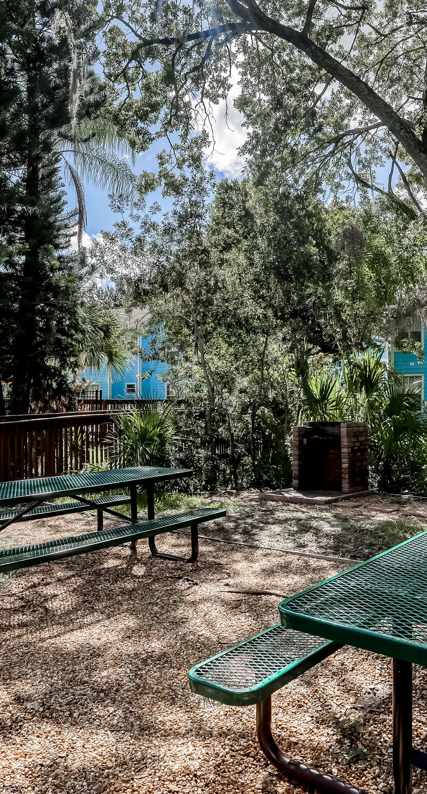 VS101-2723-156-3 - Blue Crush