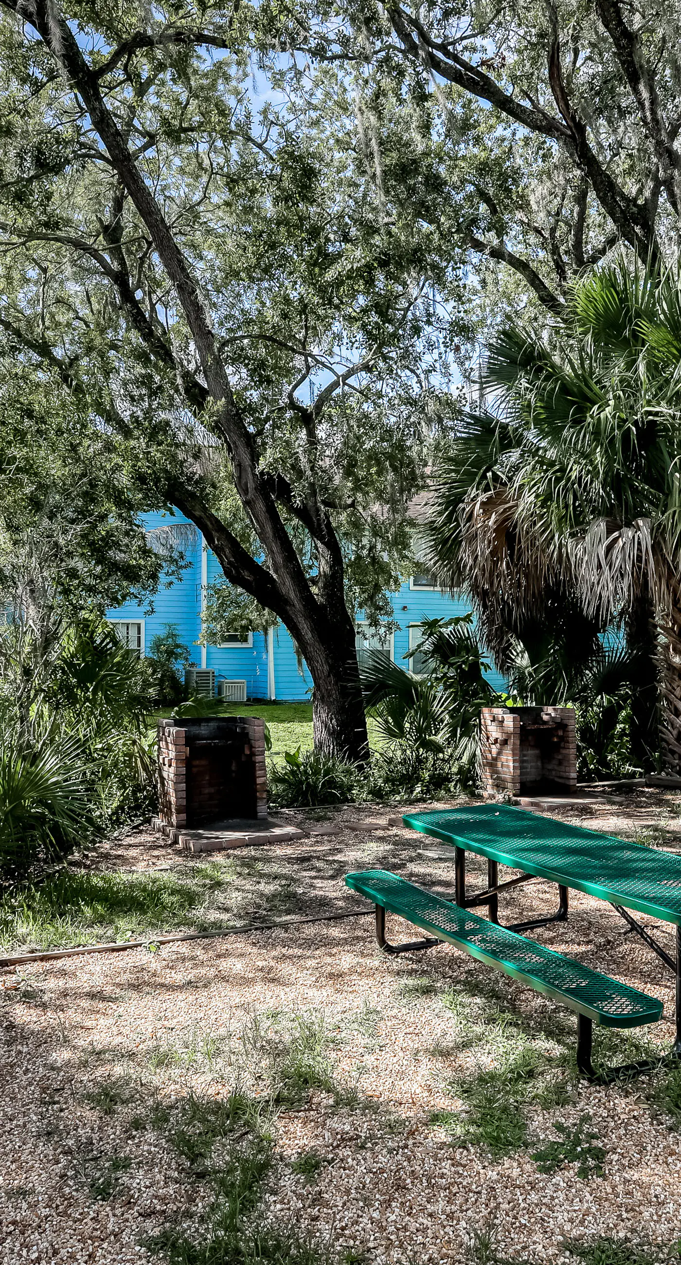 VS101-2723-156-3 - Blue Crush