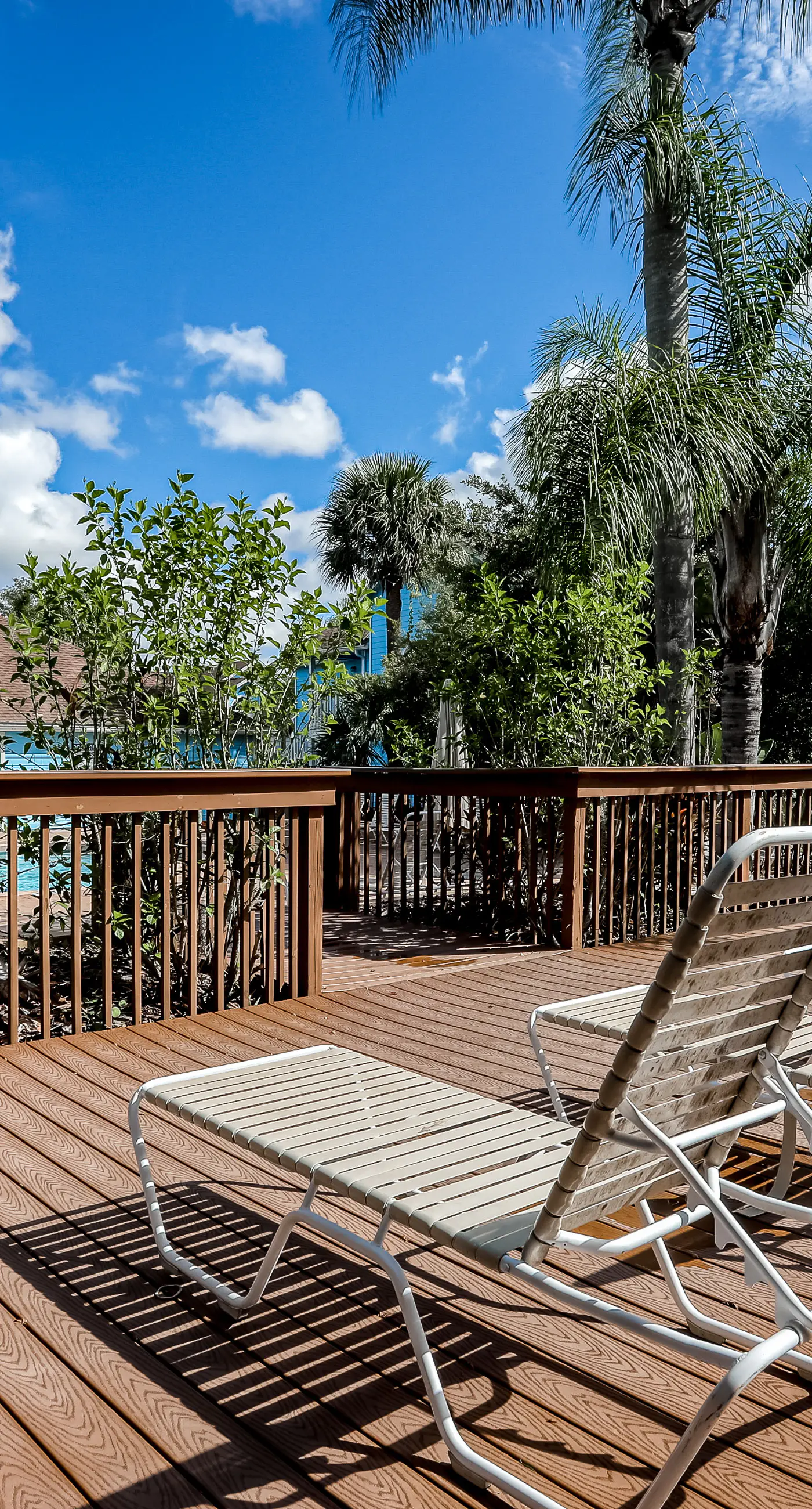 VS101-2723-156-3 - Blue Crush