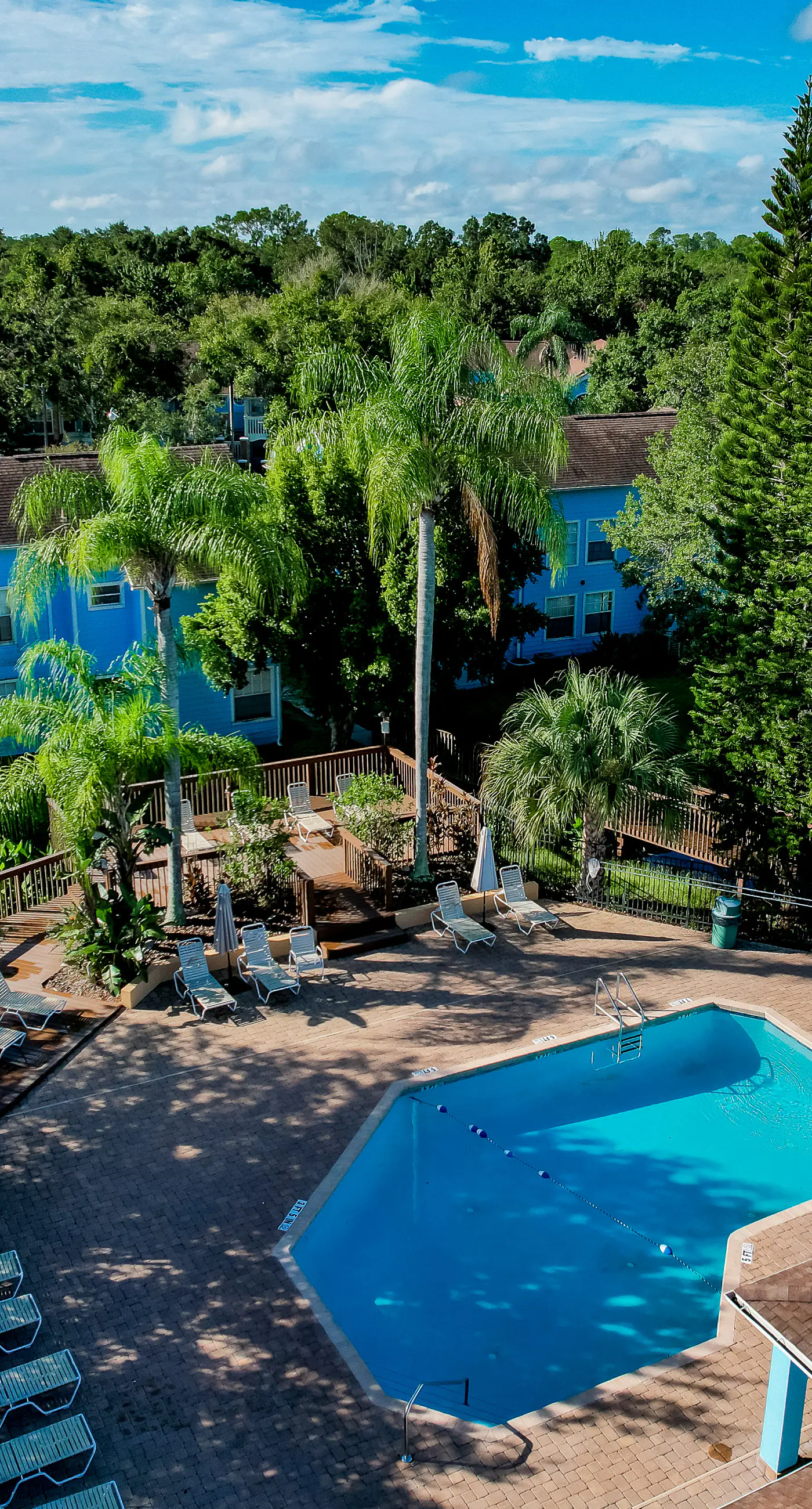 VS101-2723-156-3 - Blue Crush