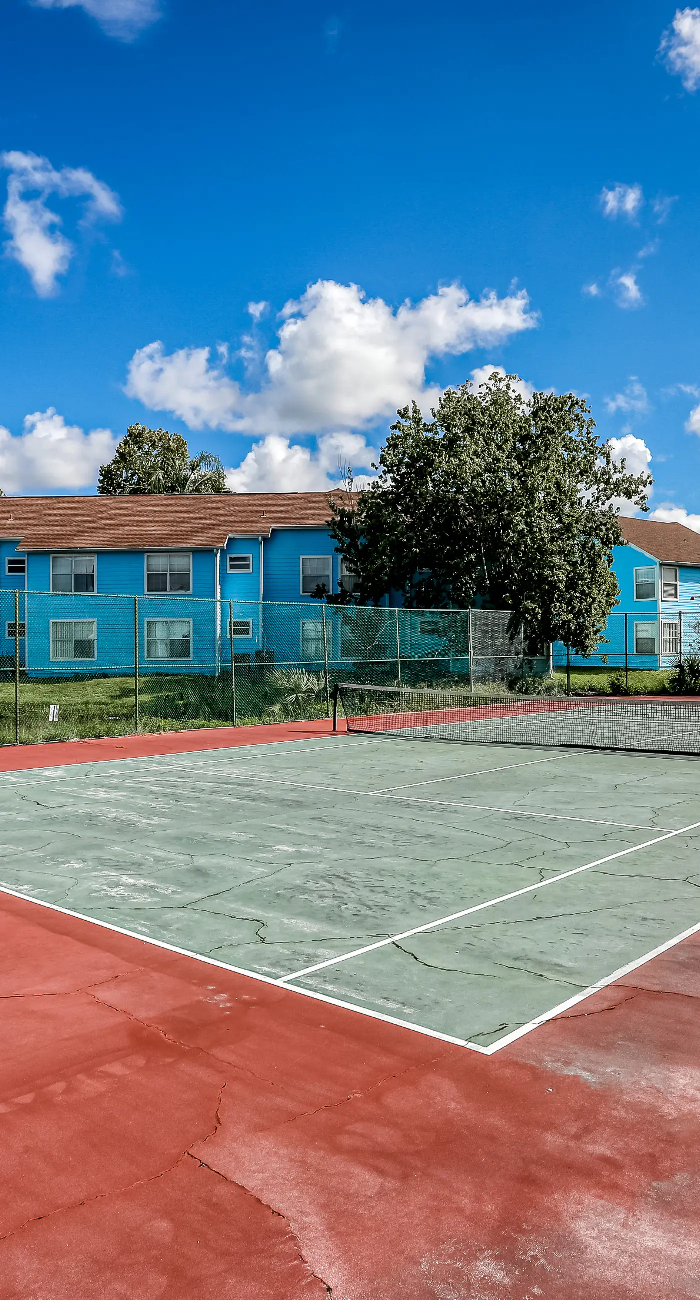 VS101-2723-156-3 - Blue Crush