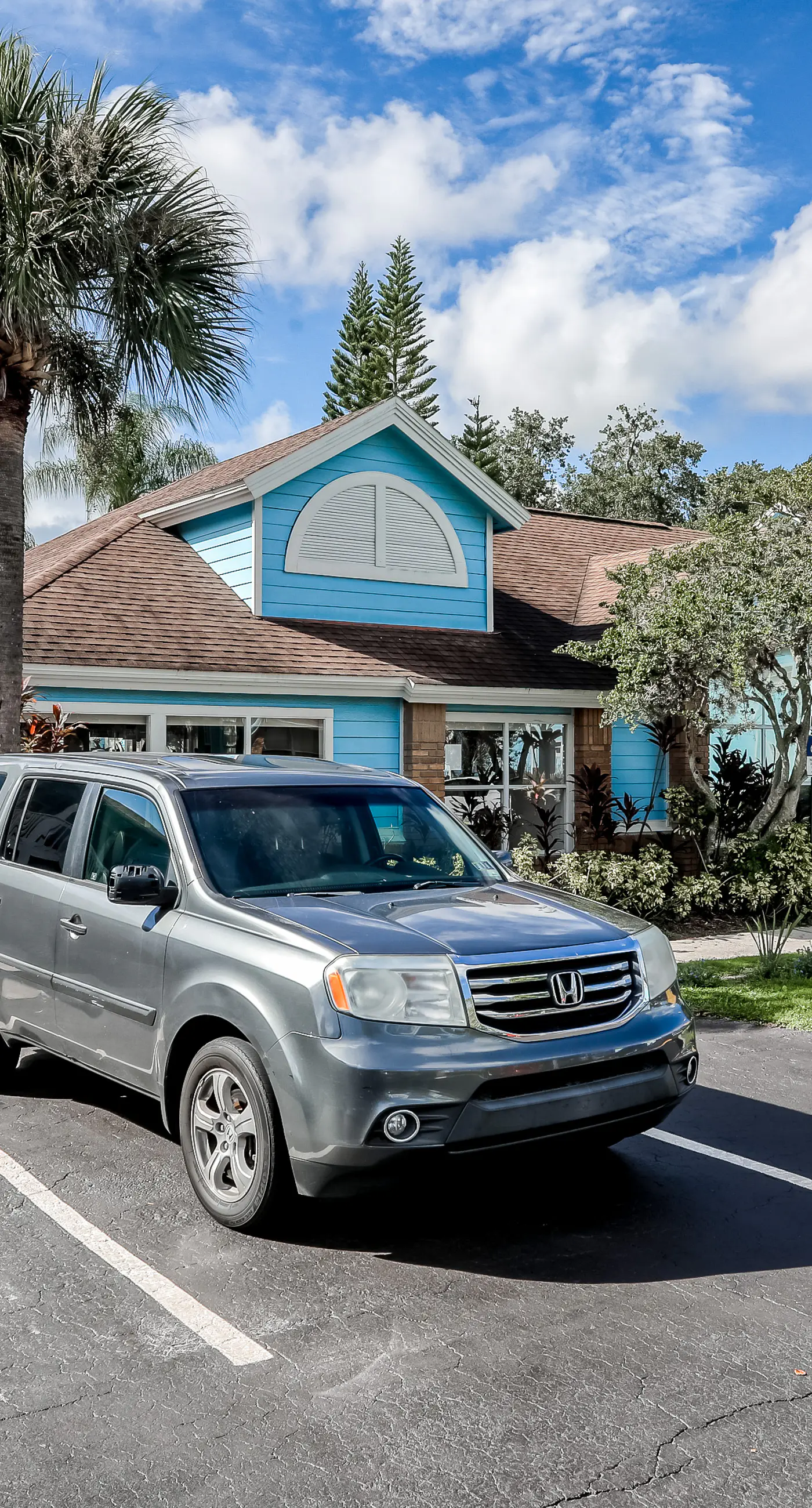 VS101-2723-156-3 - Blue Crush