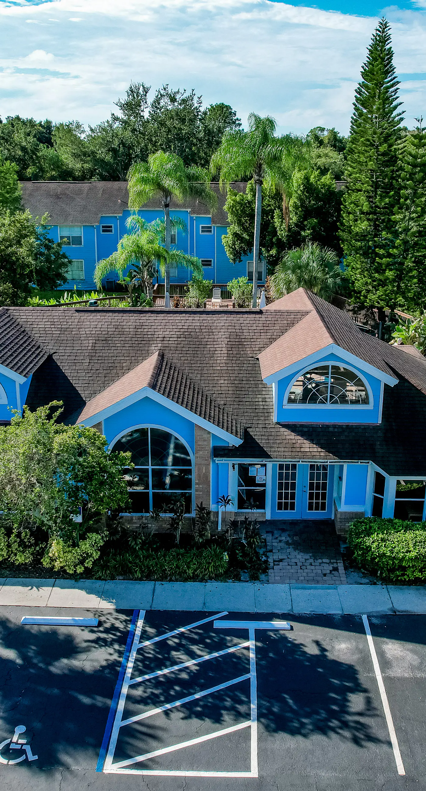 VS101-2723-156-3 - Blue Crush