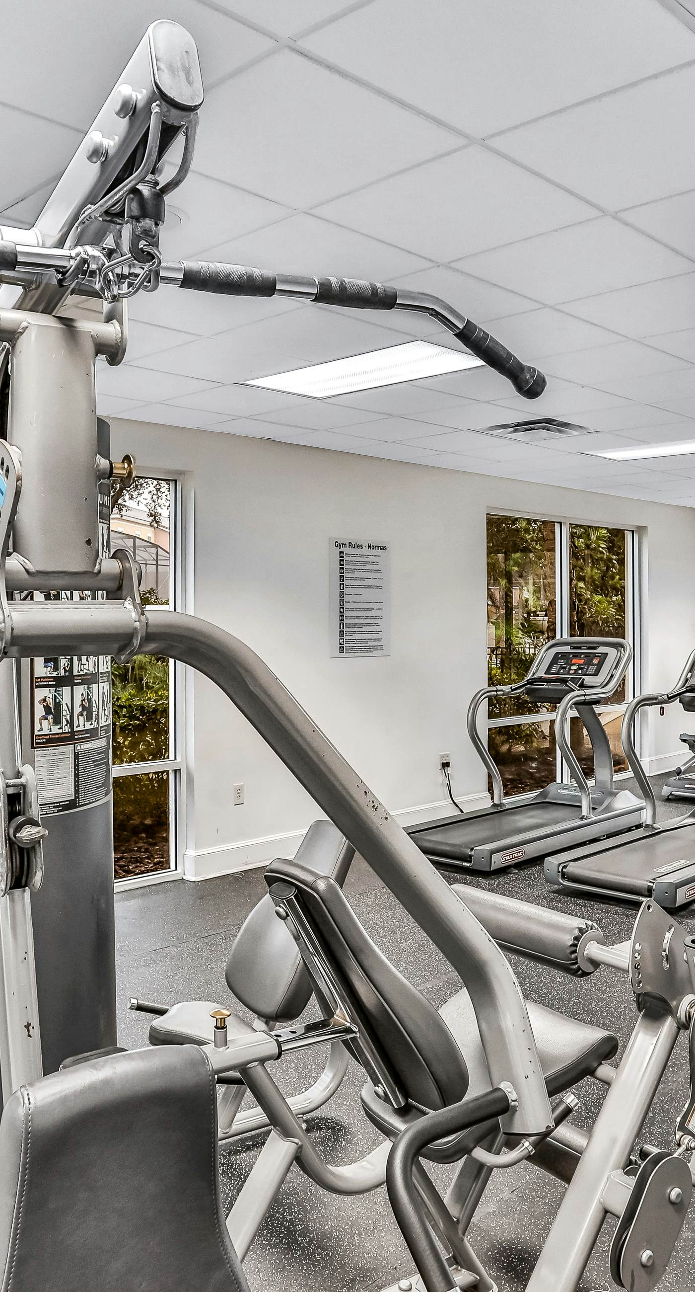 ECA101-8542-3-P-Kissimmee Sunshine