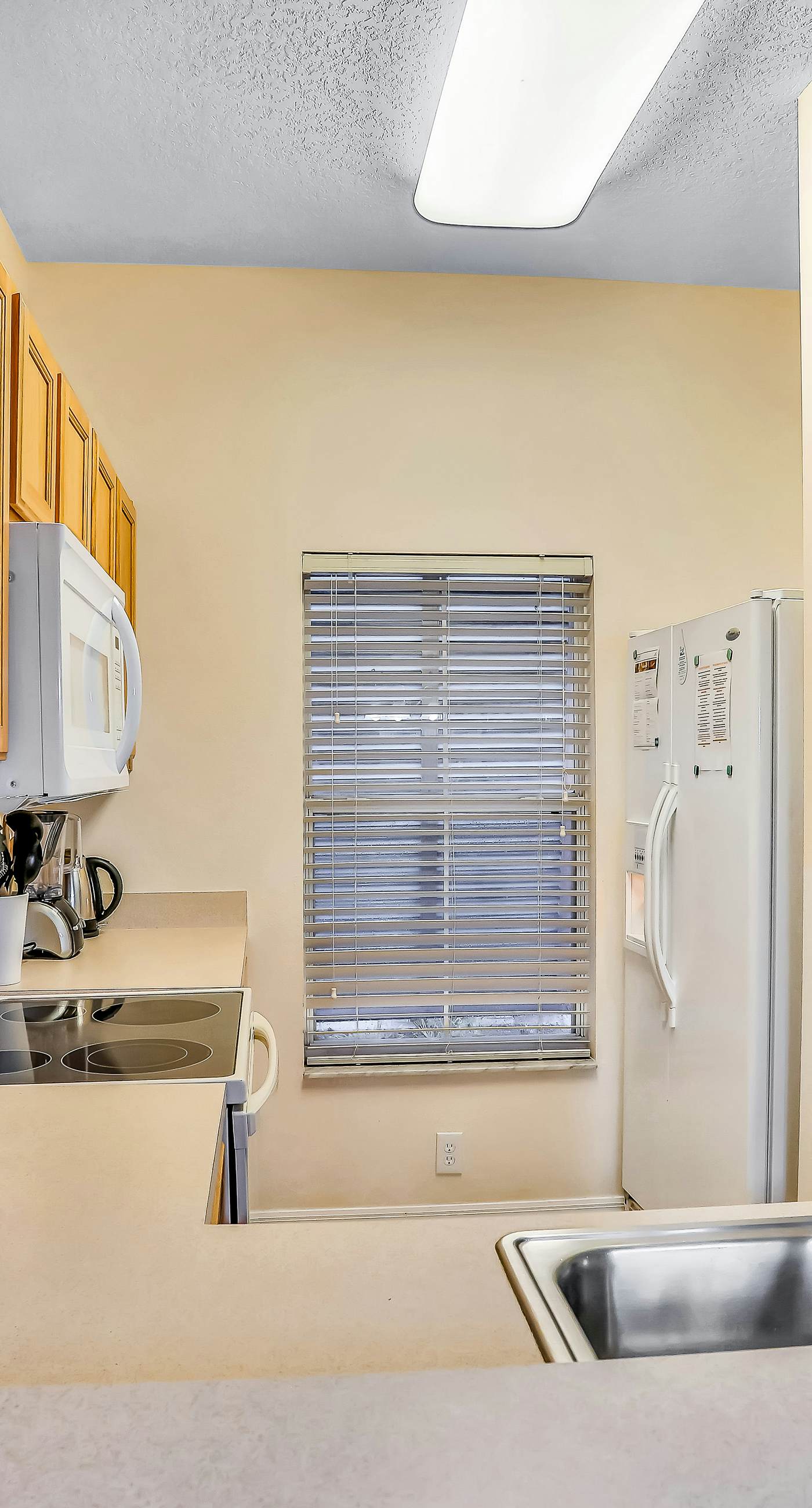 ECA101-8542-3-P-Kissimmee Sunshine