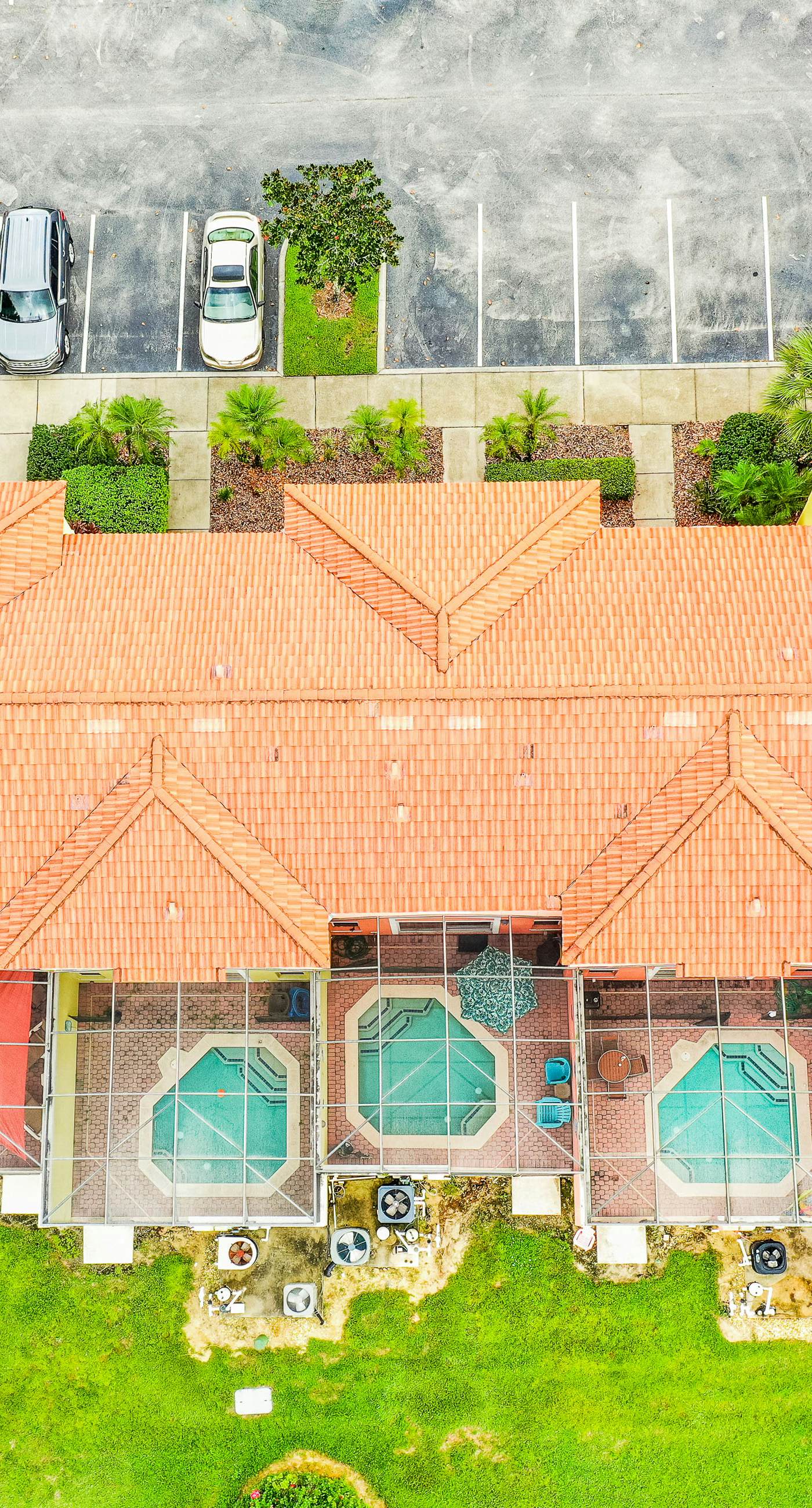 ECA101-8542-3-P-Kissimmee Sunshine