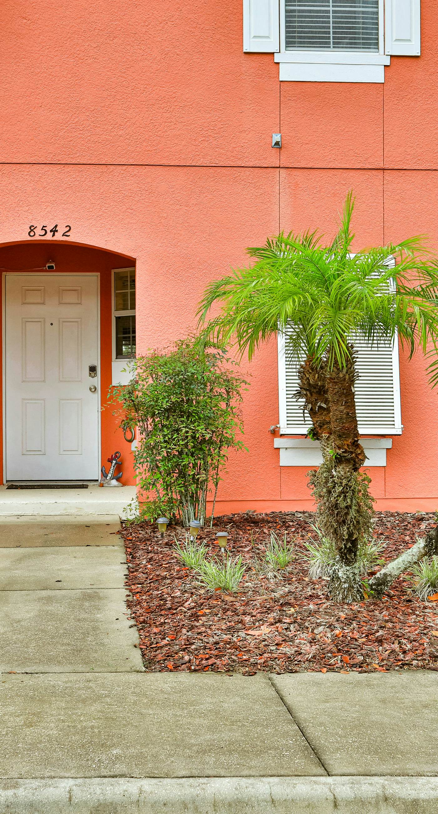 ECA101-8542-3-P-Kissimmee Sunshine