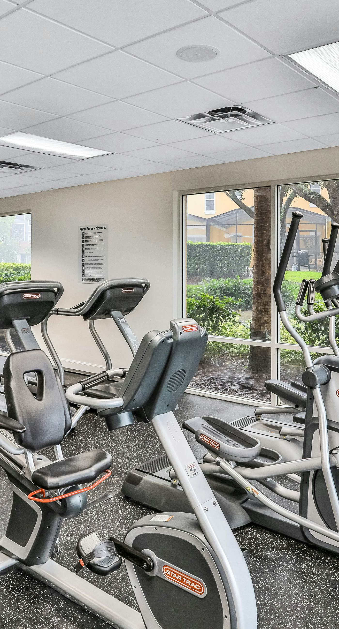 ECA101-8542-3-P-Kissimmee Sunshine