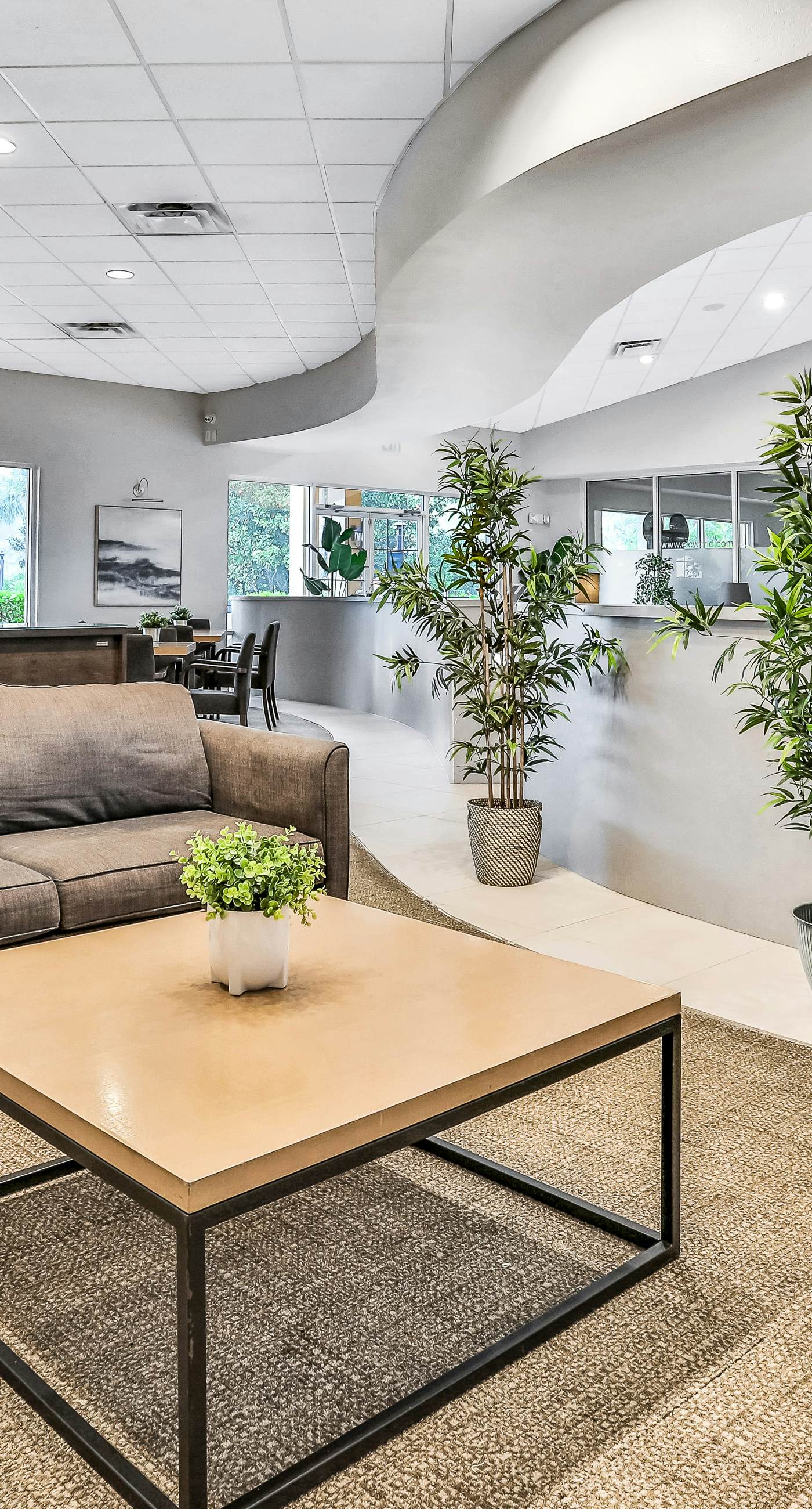 ECA101-8542-3-P-Kissimmee Sunshine