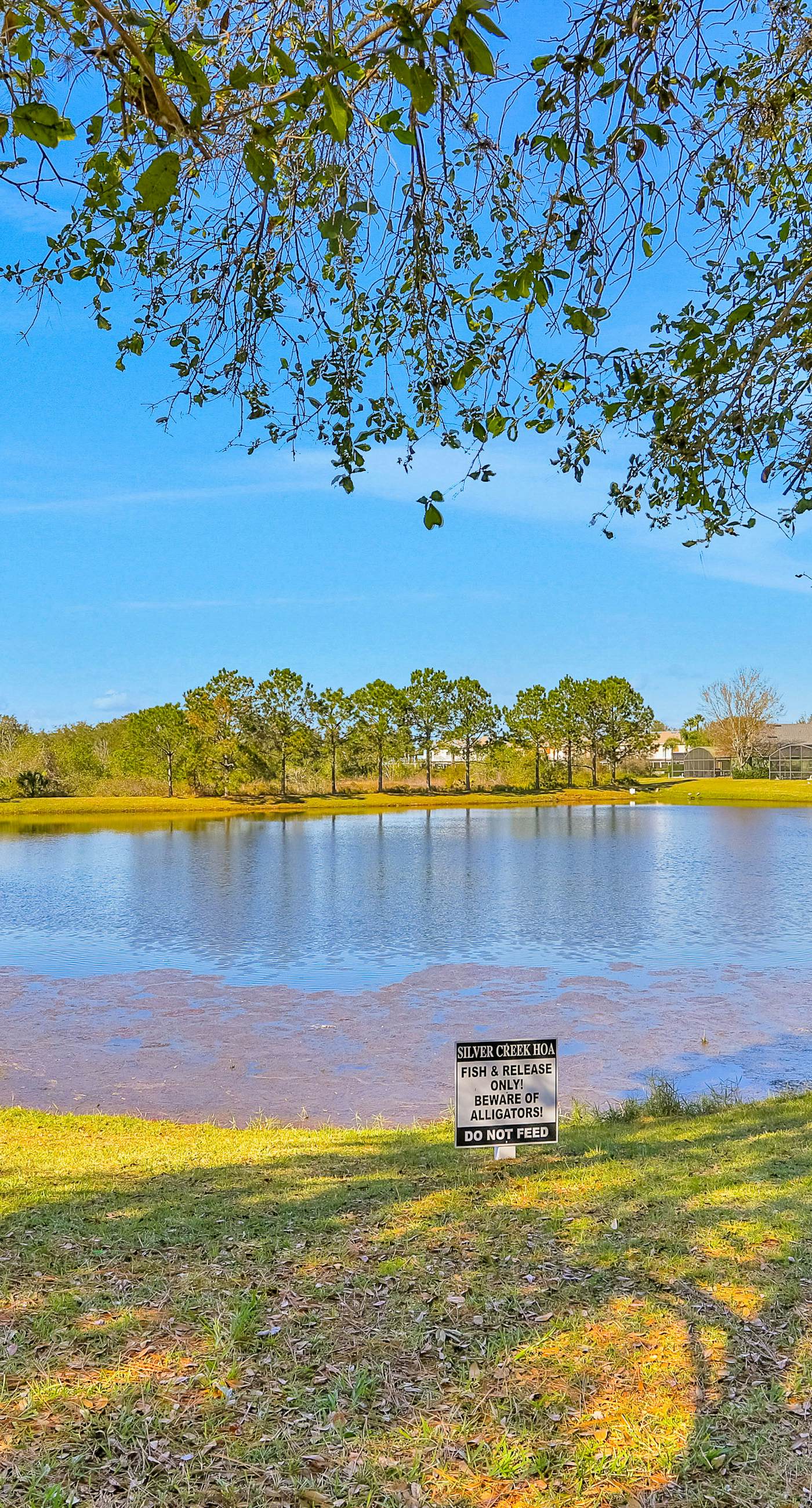 FCA106-17506-3-GP - Warm Welcomes on Woodcrest