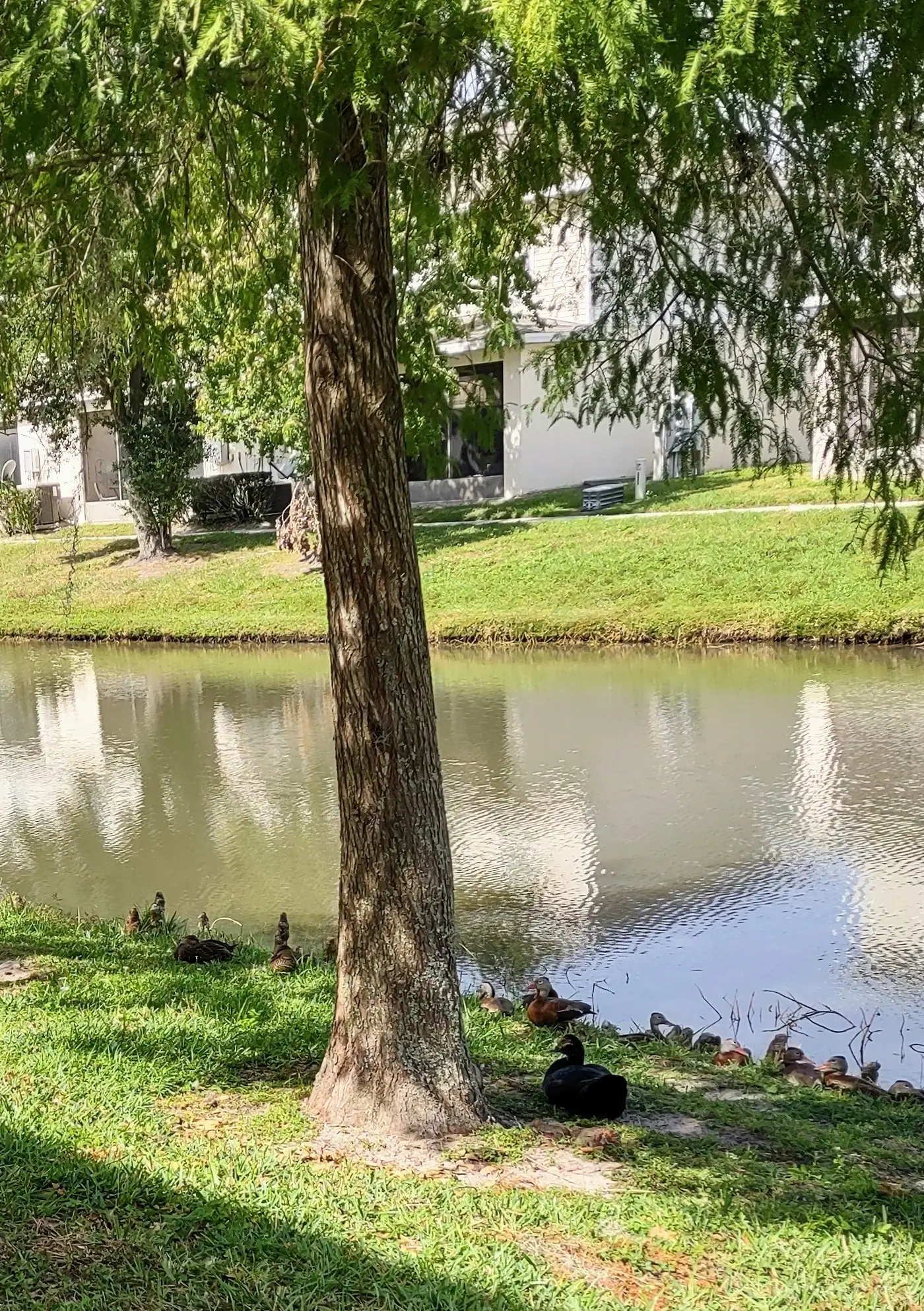 TVR103-4979-4 - Meaningful Moments Hideaway