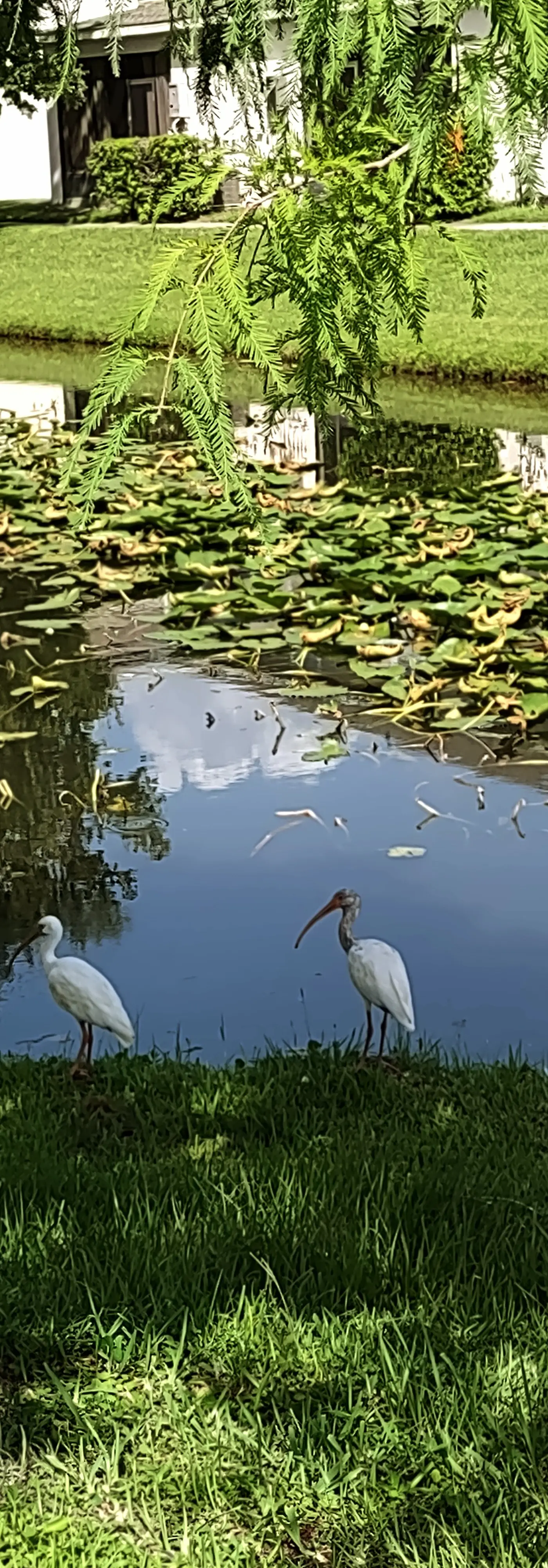 TVR103-4979-4 - Meaningful Moments Hideaway