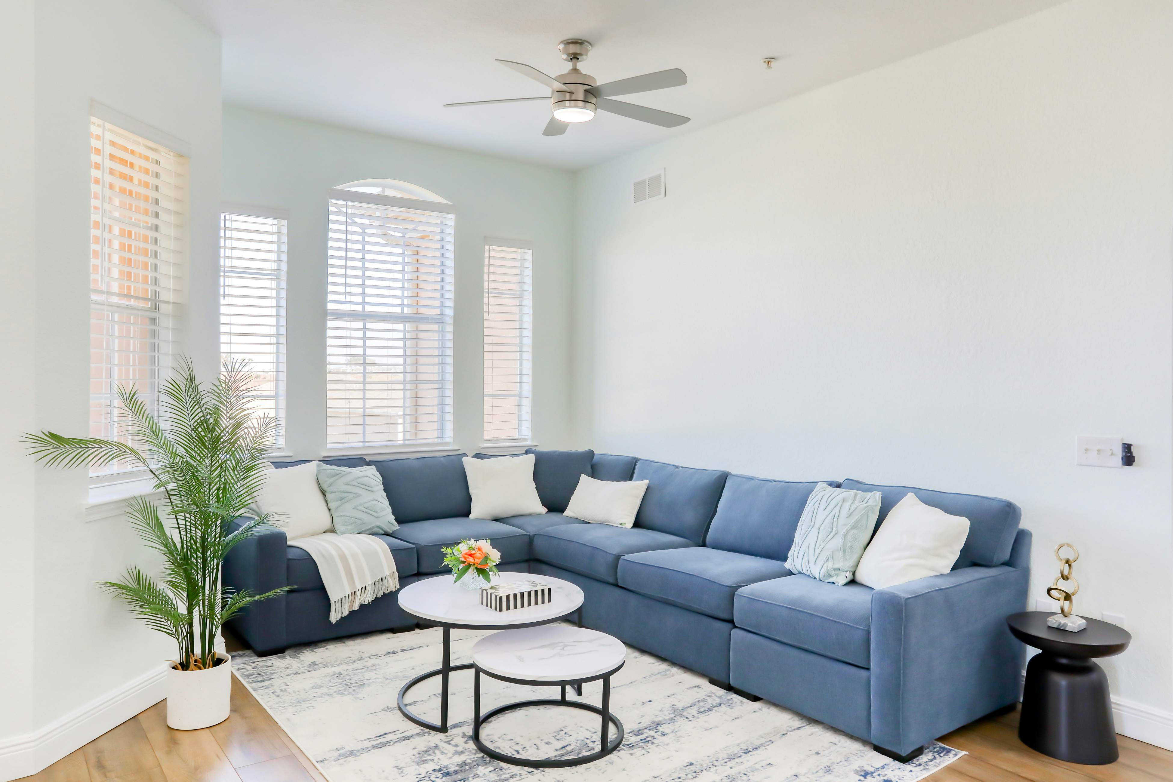 TRR105-618-3 - Pink Apple